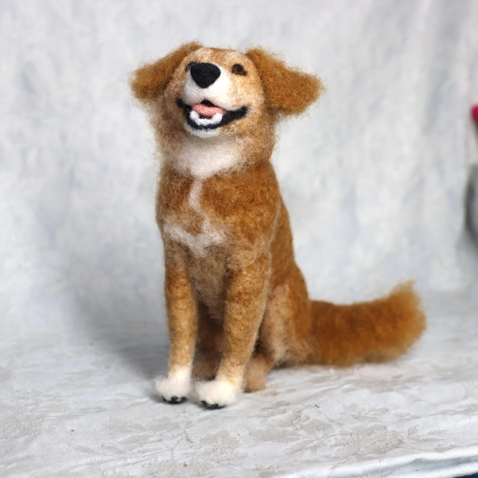 Happy Monday!
Go throw your dog's ball!

#HappyDog #Smile #FiberFriends #DogsofInstagram #Woof #Dogs