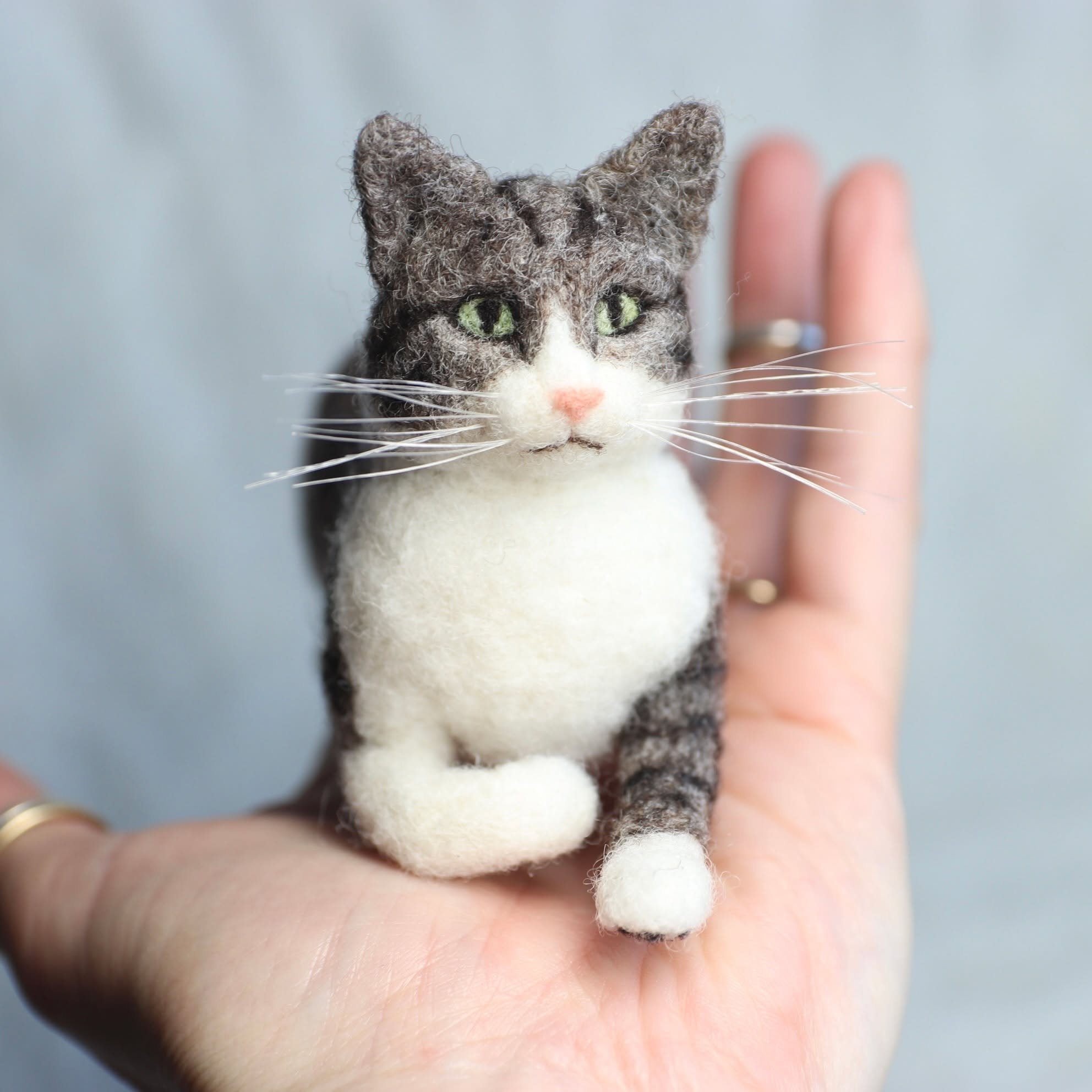 Meow.

OK, hear me out.  Getting cat ears and eyes the correct size is the bane of my existence. In PERSON, the ears and eyes on this kitty looked perfect. But in photographs, they look too large. Cat ears are both tiny and tall, and they're very thr