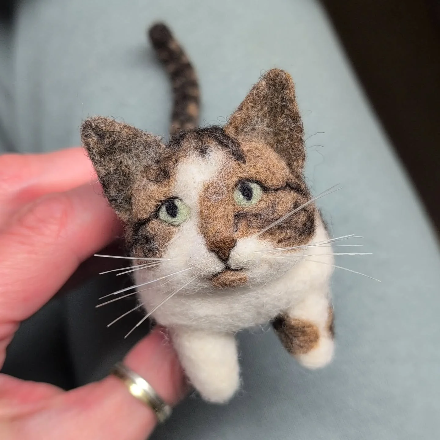 Hi, I've been on vacation!
Here is a cute cat!

#cat #catscatscats #catsagram #meow