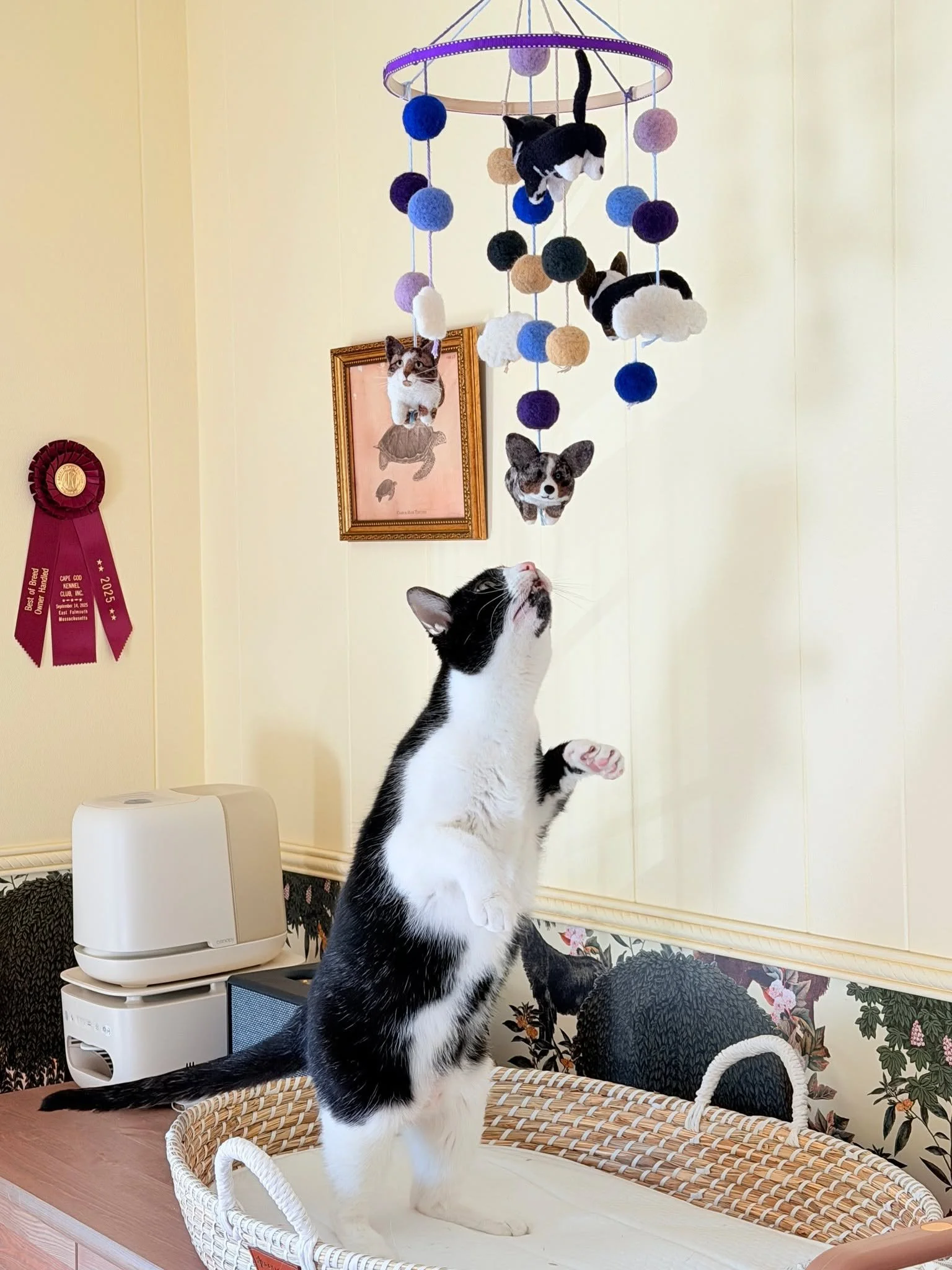 Happy Monday from Monroe!

And while this is a very cute photo of a very pretty cat snuffling at his family's new mobile..... this is also a cautionary tale. Fiber Friends mobiles are an investment and one kitty can do a LOT of damage in a short amou