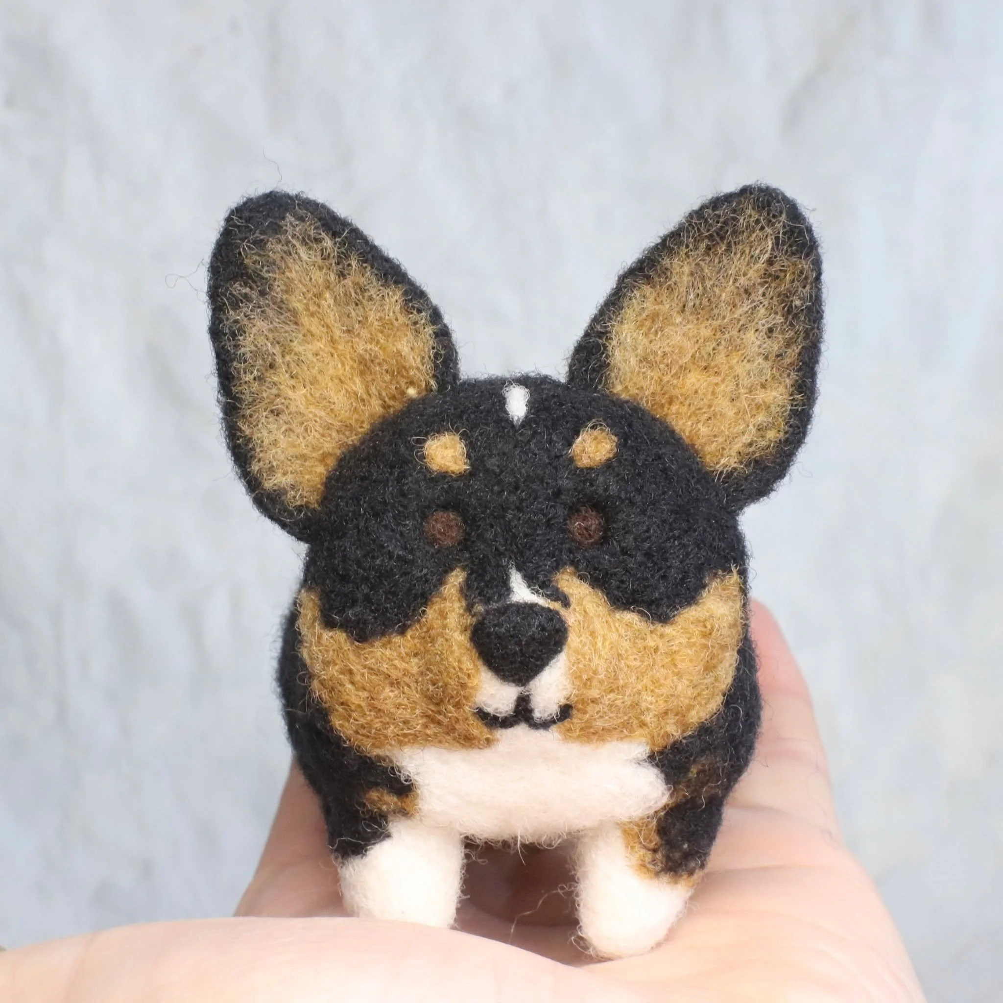 Oh, hi, Frida!  Who's a cutie patootie? You are!

#Stubbin #Corgi #CorgiSmile #CuteCorgi #CutiePatootie