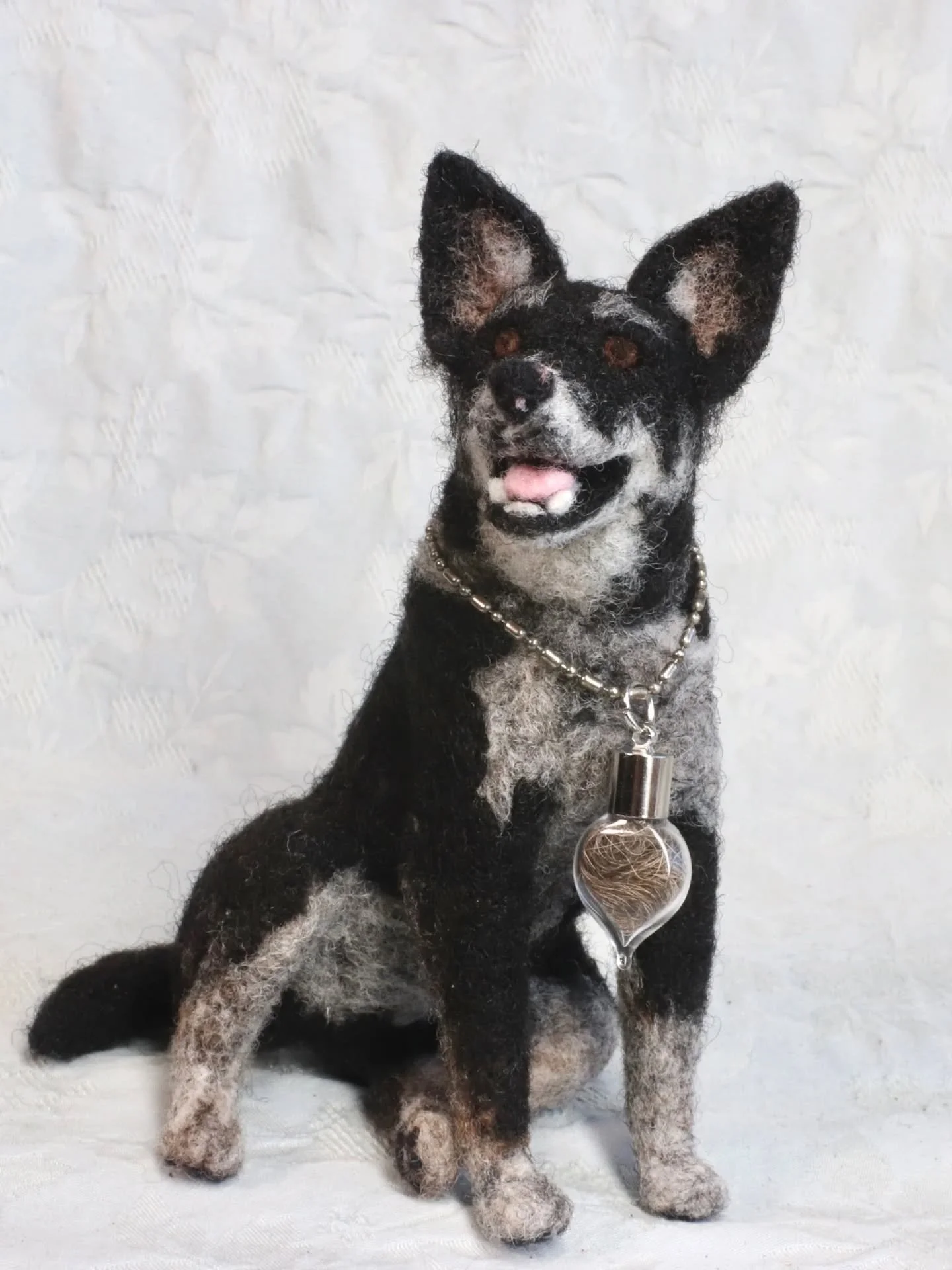 Sweet Eddie 🌈. It is my absolute honor to help honor my clients' best friends. Every time I am trusted to create a pet memorial it fills my soul a little more. 

Naree's candor response to my email with Eddie's photos deserves to be shared:

"O
