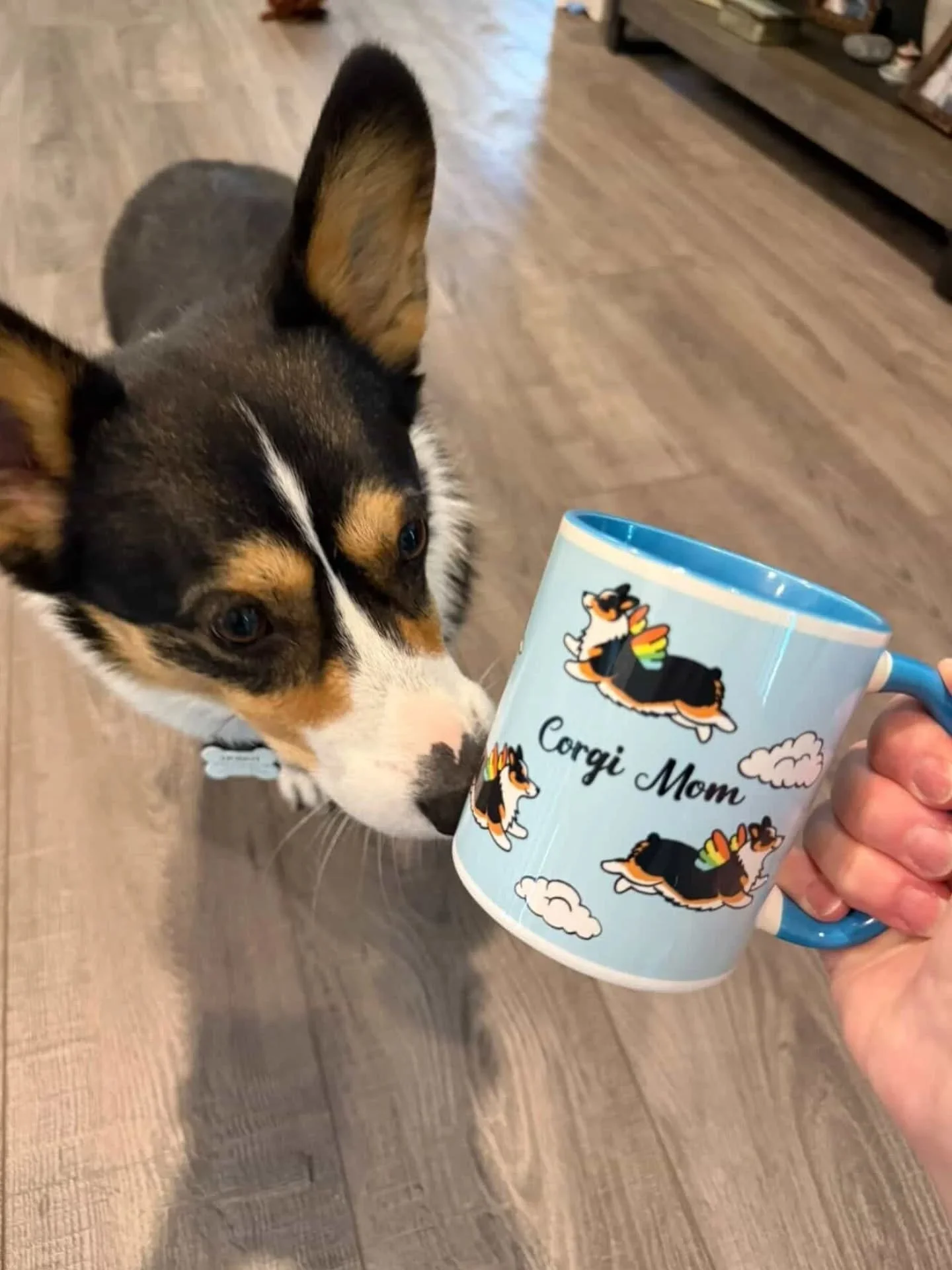 Mother's Day goodies are finding their way home!
It looks like the new mugs are turning out SUPER cute and corgi approved!!

You can get your own in the "goodies" section of my website. Available in *all corgi colors! 😘😘

#corgimom #furba