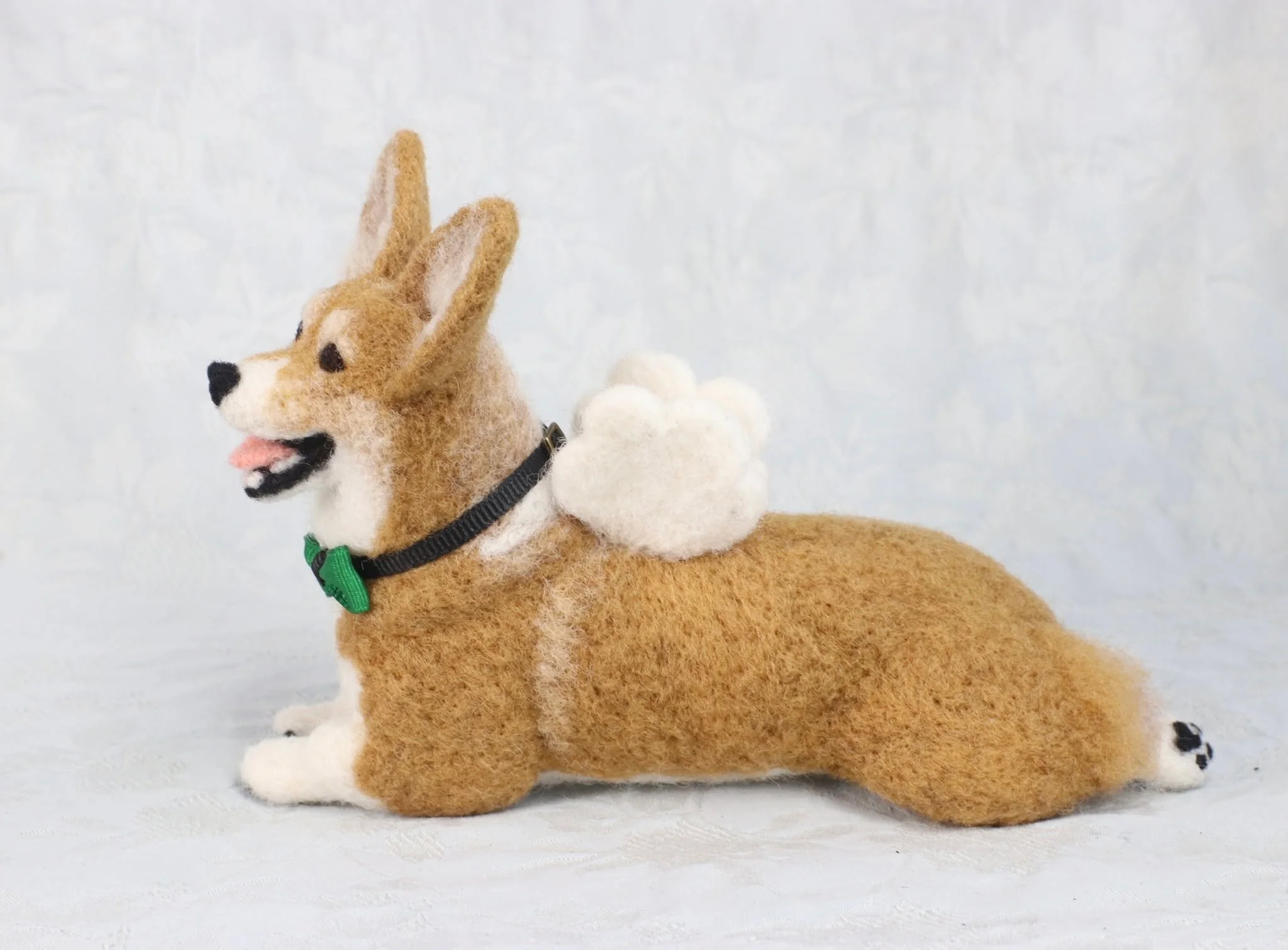 Lil Einstein is all back together! Here are a couple of side views to show his absolutely adorable single-stumped sploot!

#sploot #corgismile #corgilove