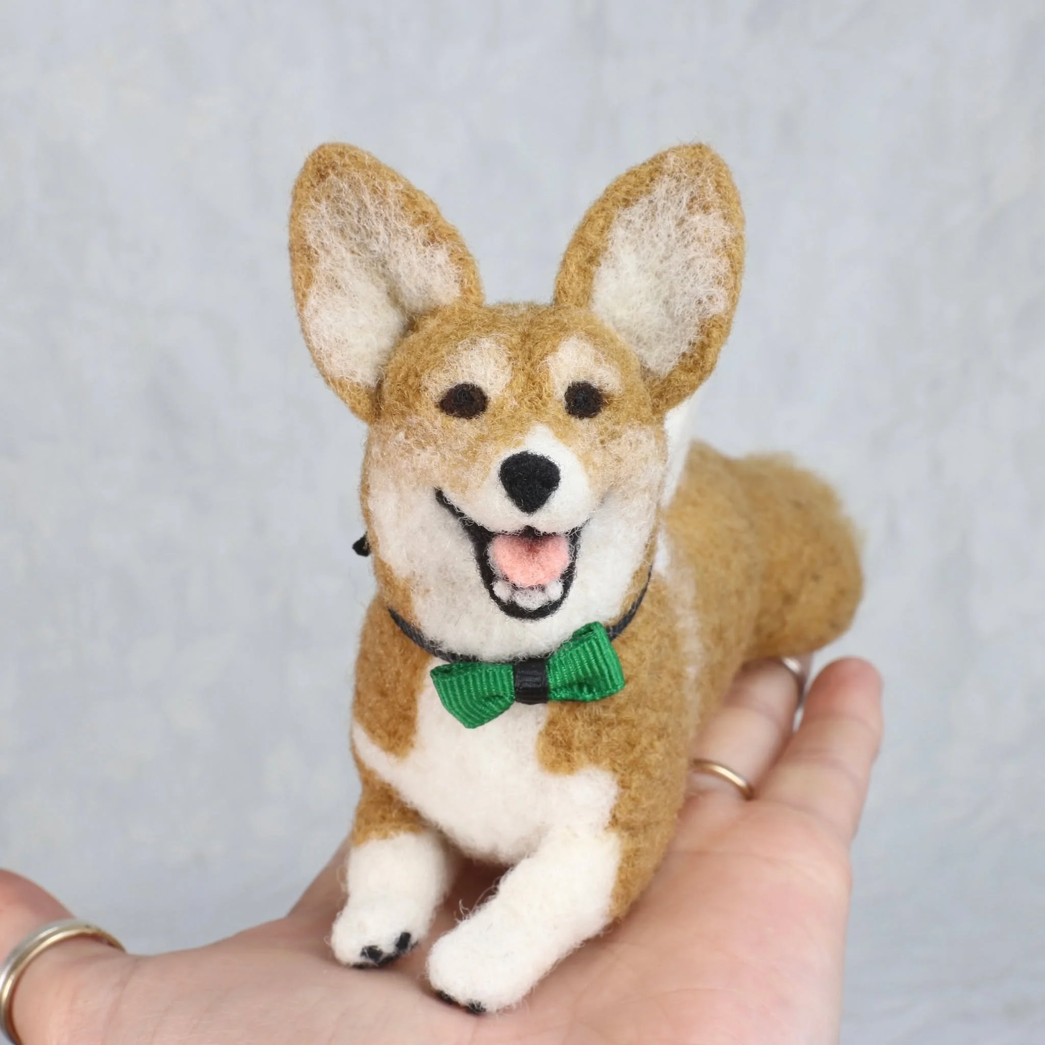 Einstein was such a happy boi and his Fiber Friend is much happier now that it isn't ripped apart and strewn all over mommy's living room floor.
Welcome back, lil Einstein! Pay it forward and try not to rip apart your ducky either ;) 

#Corgi #CorgiS