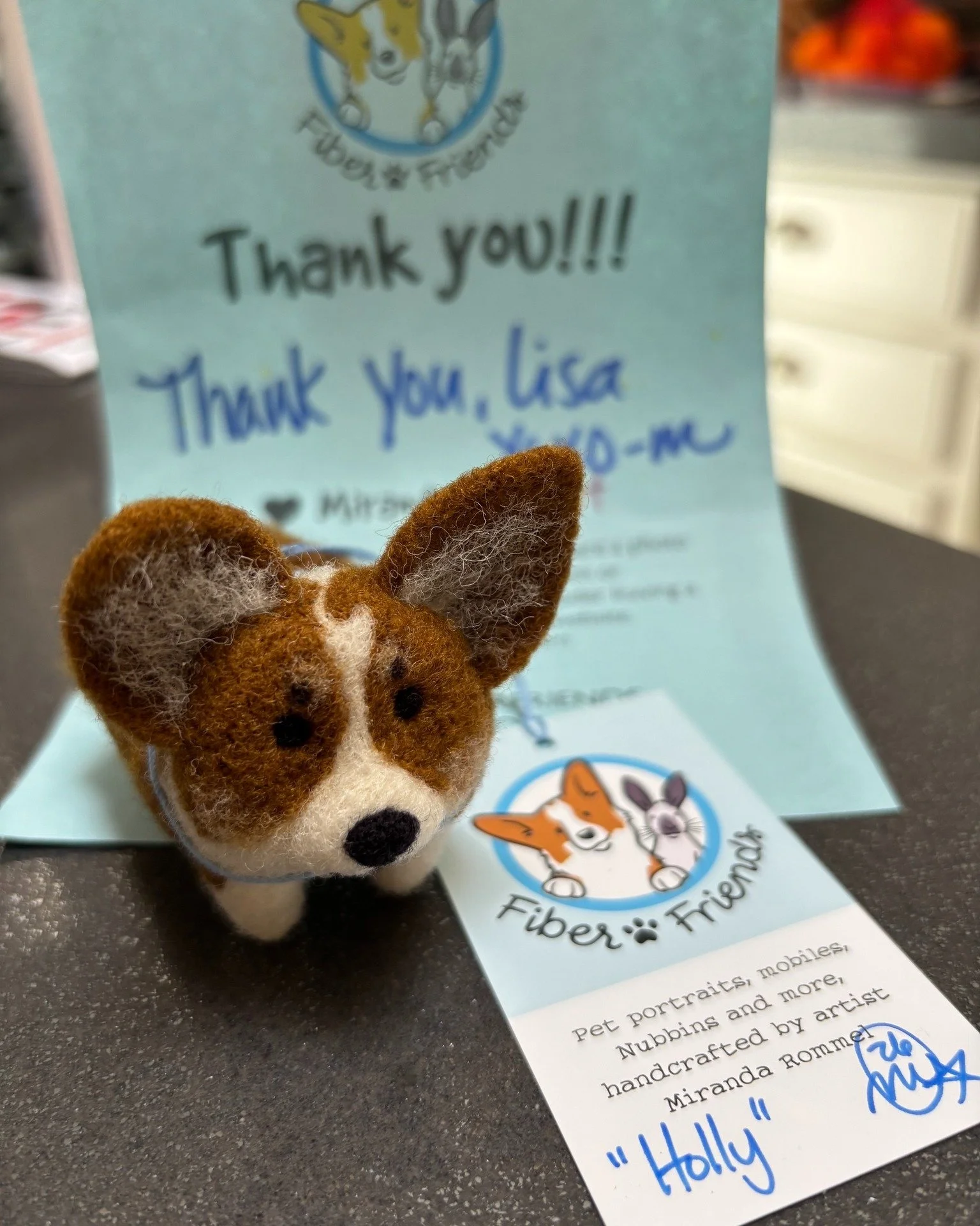 Holly had quite the welcoming committee!

Welcome home, lil Holly!

#Stubbin #FiberFriends #WelcomingCommittee #WelcomeHome #Corgi #DogPack