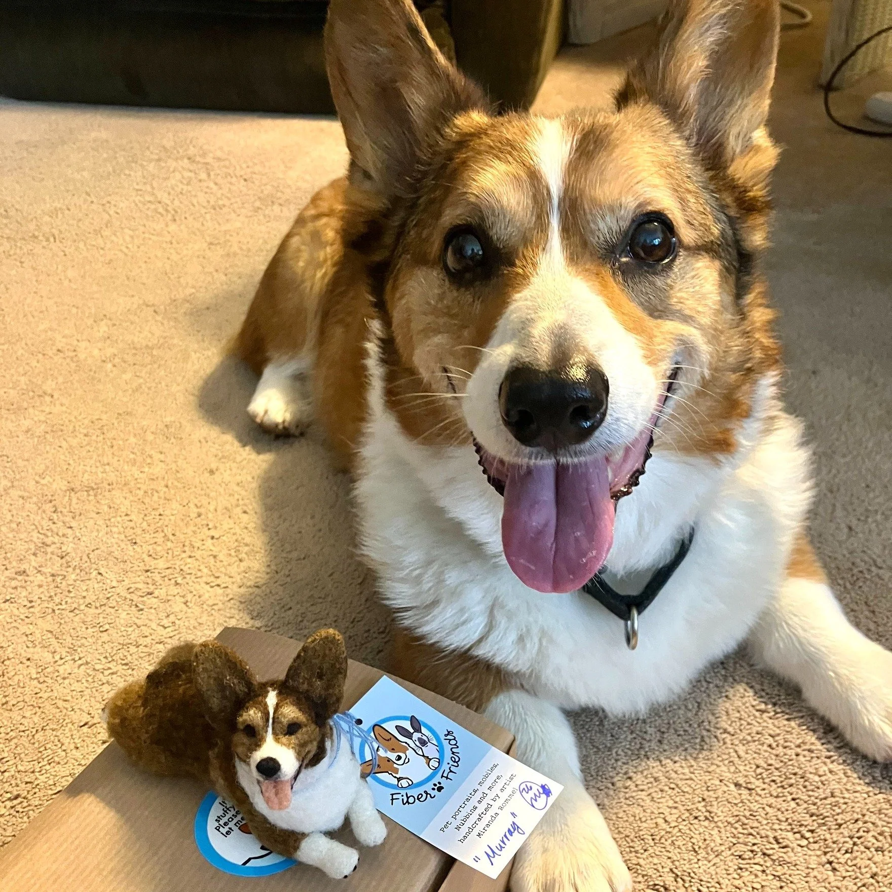 Another happy Monday from Murray!!

I do love felting pet memorials, but it's so nice to see my Friends posing with their happy, smiling and Still Alive big selves. <3  Live forever, Murray!! 😘

#Corgi #CorgiSmile #corgistagram #CorgiAddict #Mond