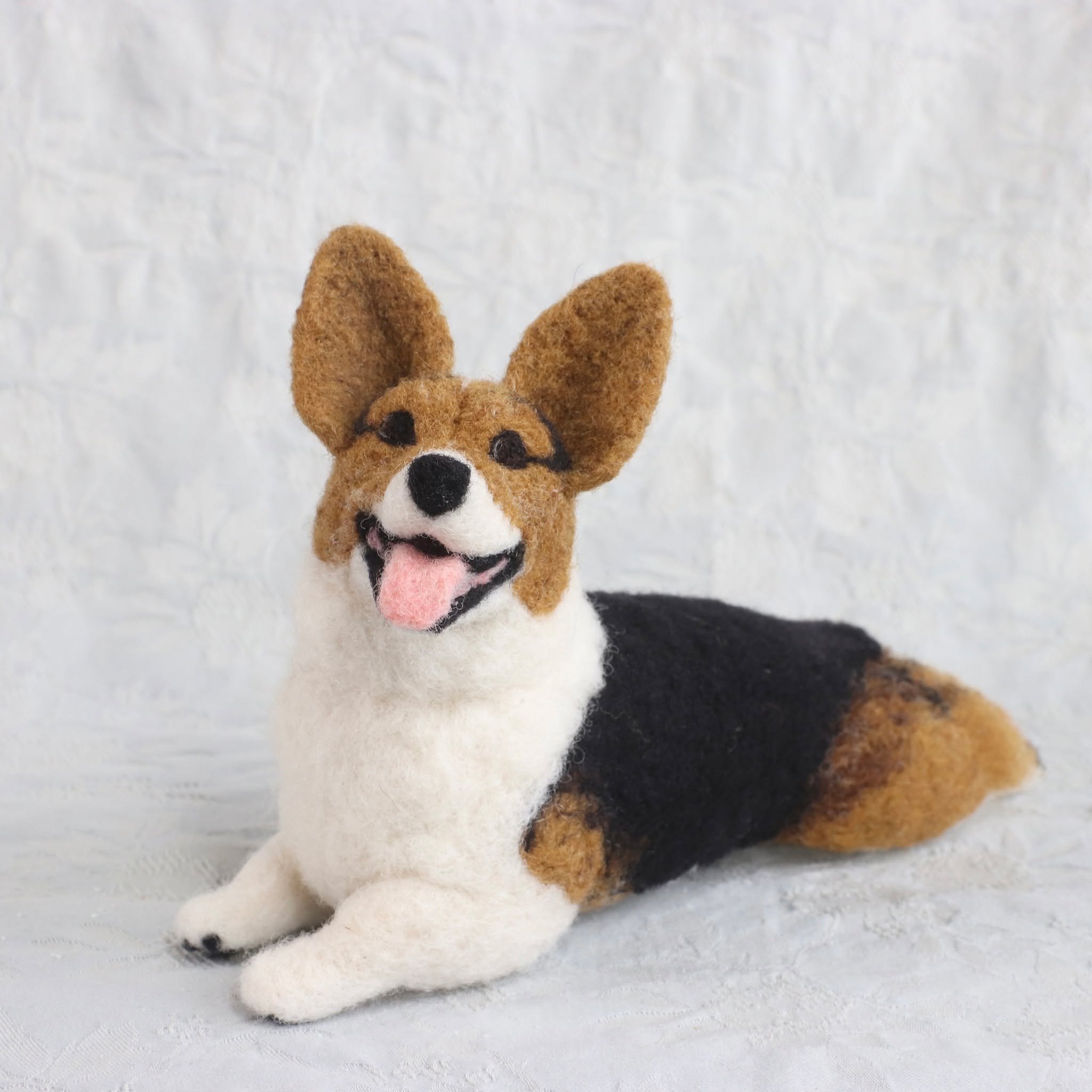 I've had so many happy, smiling splooters in my studio lately!  Percy was just so adorable and left way too soon.  Stay tuned for more cutie pics of him and one of his favorite toys!

PS I am currently booking July! Hot dog :) Get your custom orders 