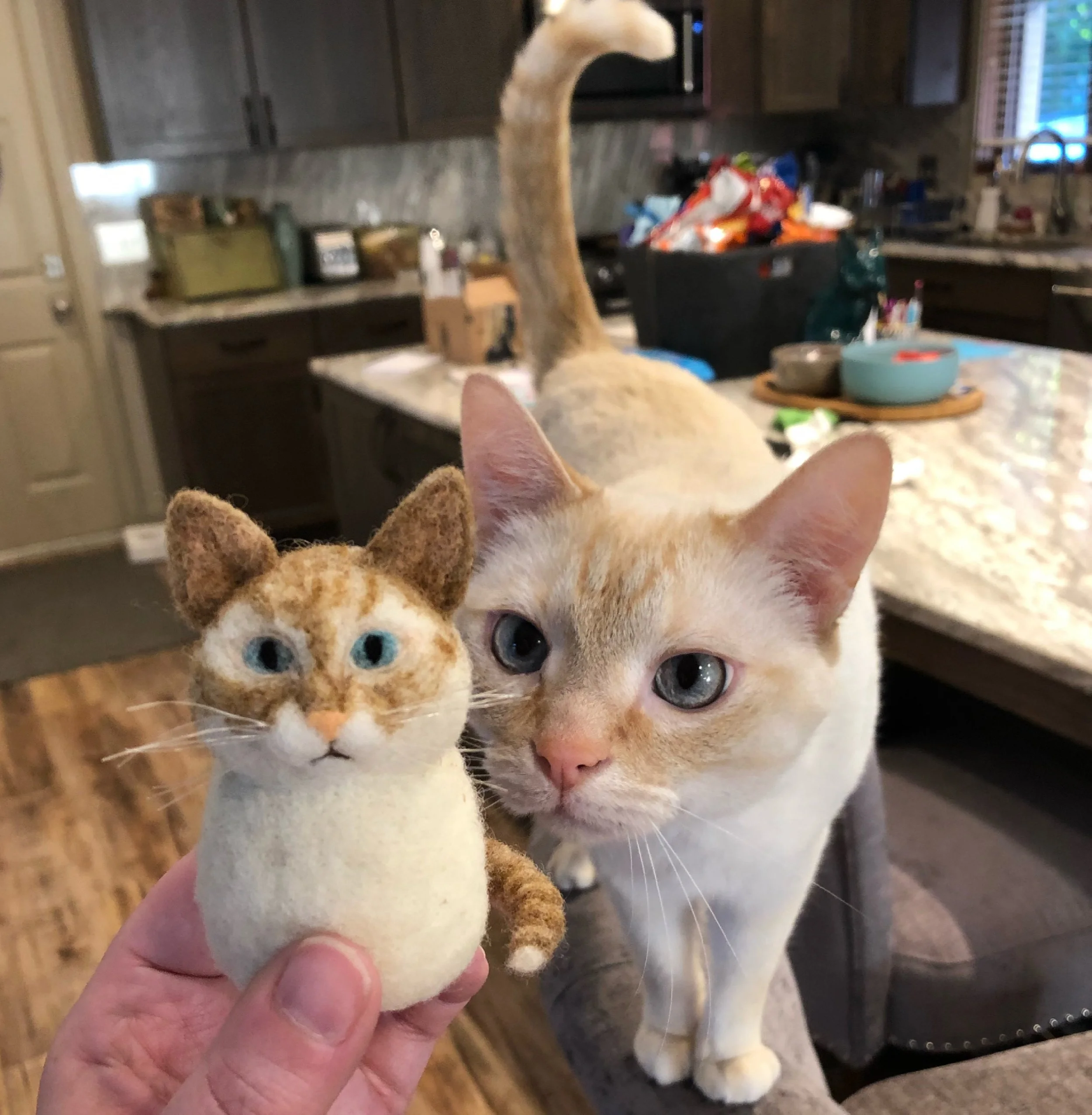 A person holding a felted cat doll resembling a real orange and white cat with blue eyes, while the actual orange and white cat looks closely at the doll indoors with a kitchen background.