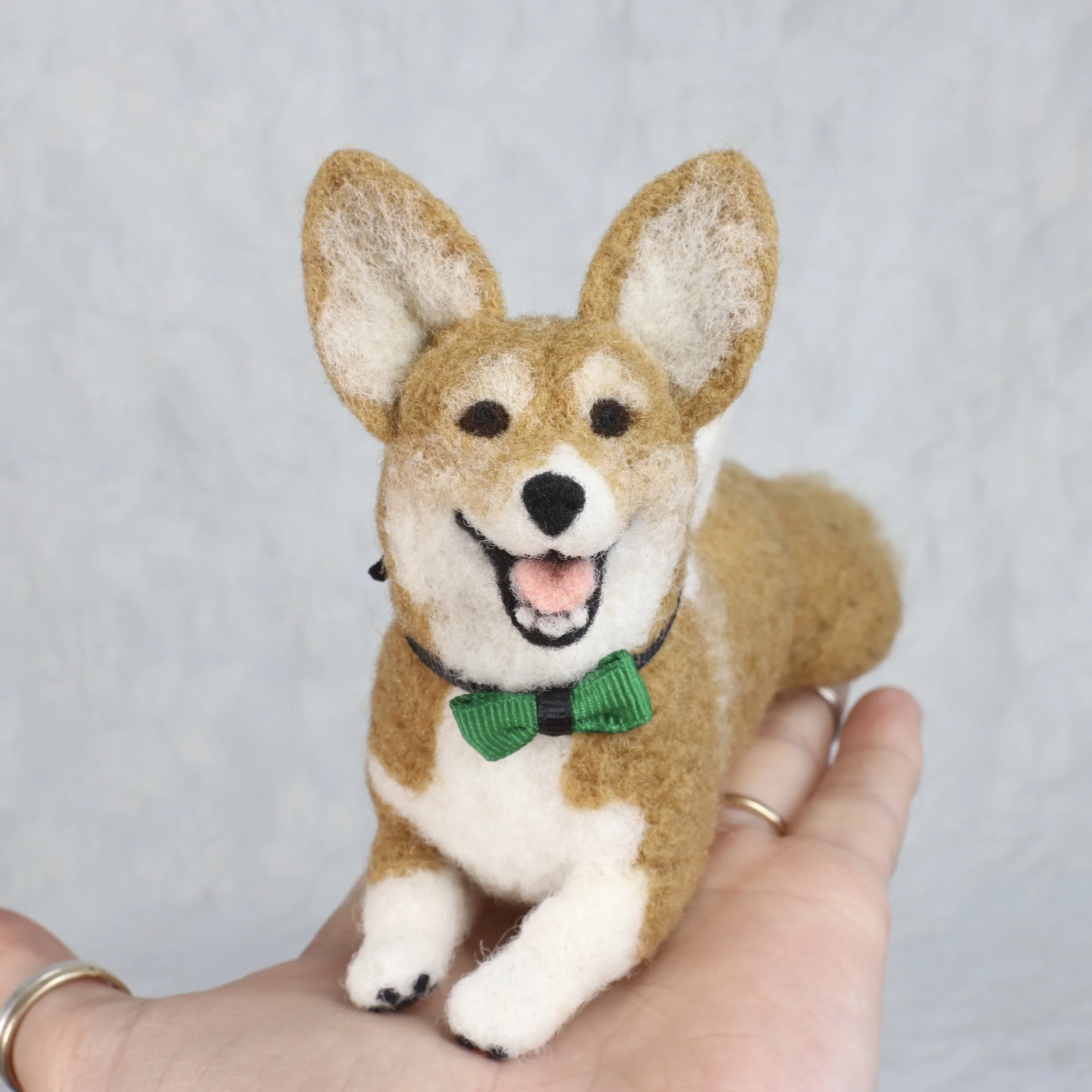 Einstein's first Friend was destroyed by the puppy. This is Einstein 2.0!