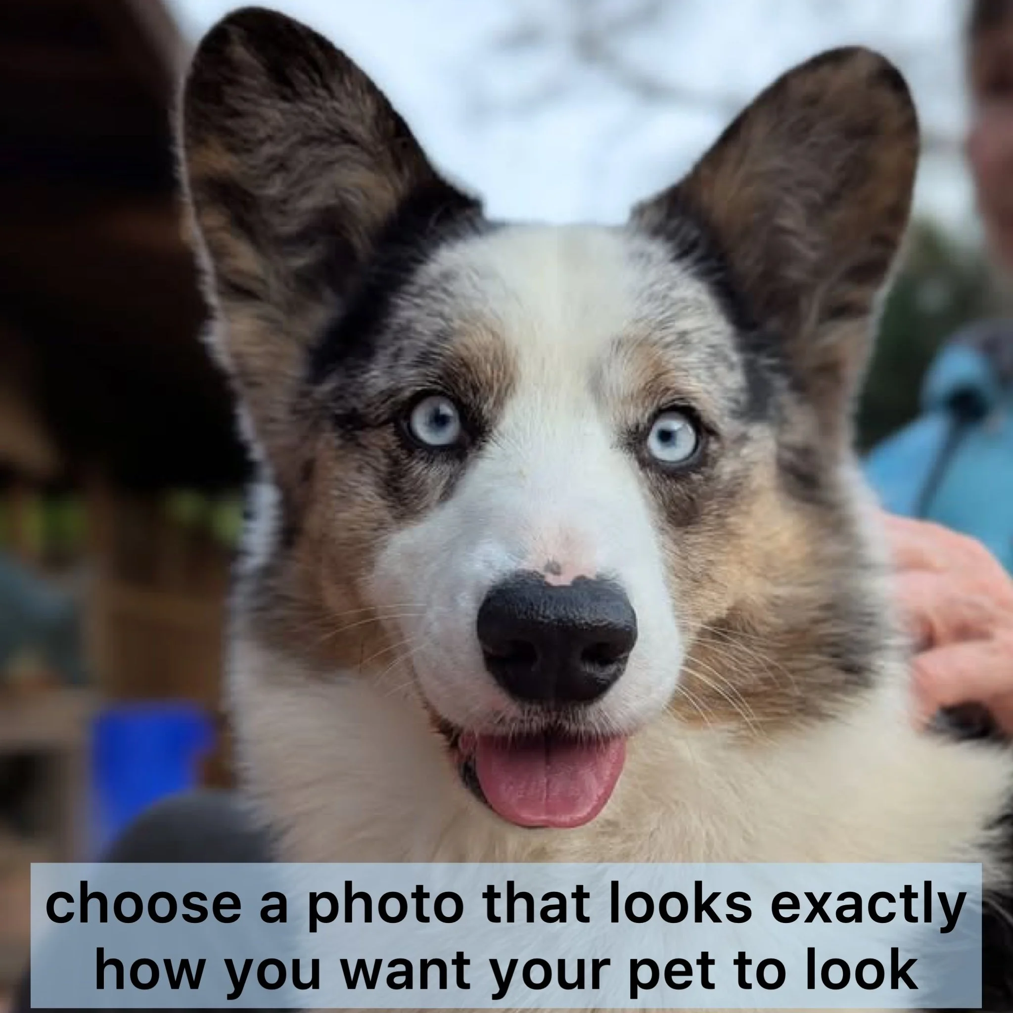 1E523D94-AC39-459D-9298-9C220CC7904B.jpeg (Copy)