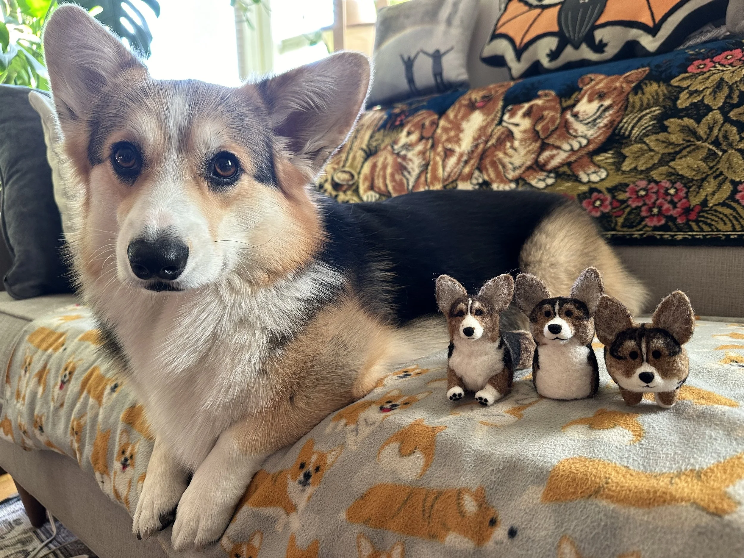 A colored dog lying on a couch with three small felted dog figurines in front. The dog has a tricolor coat and a white face with brown and black markings, gazing at the camera. The background includes decorative pillows with dog-themed designs and a woven blanket.