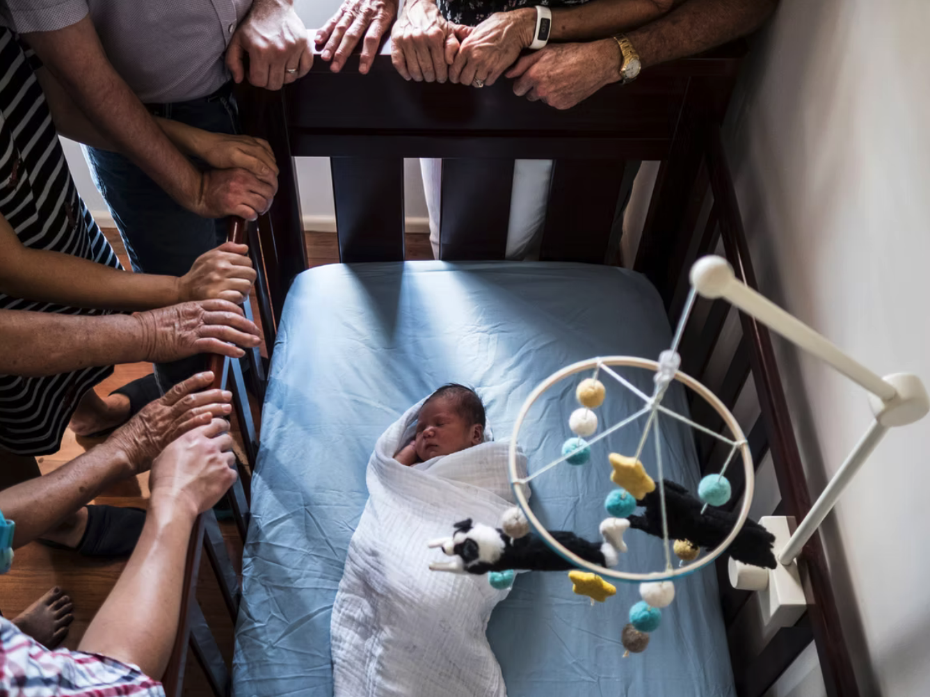 A newborn baby wrapped in a white blanket lying in a crib, surrounded by family members reaching over the railing, with a plush black and white cow toy hanging from a mobile above.