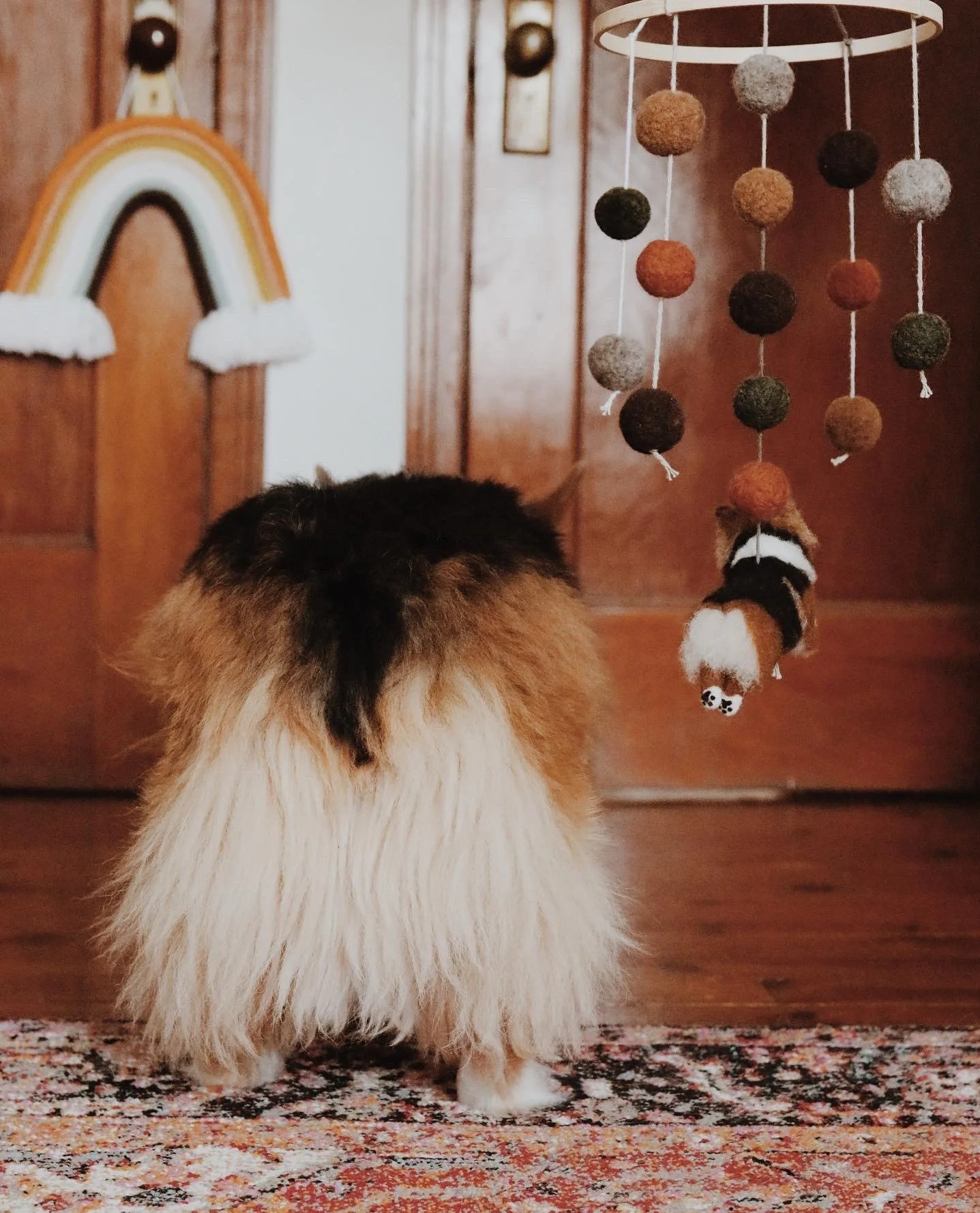 A dog, seen from behind, watching a hanging mobile with felt balls and a stuffed animal of a dog.