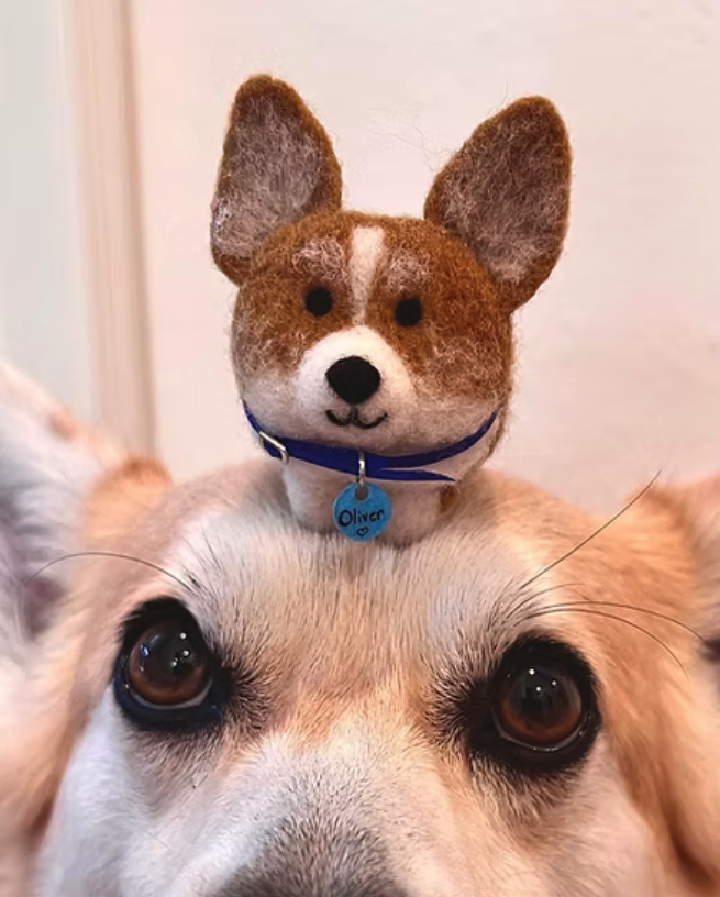 Screen Shot 2026-01-04 at 3.56.55 PM.png