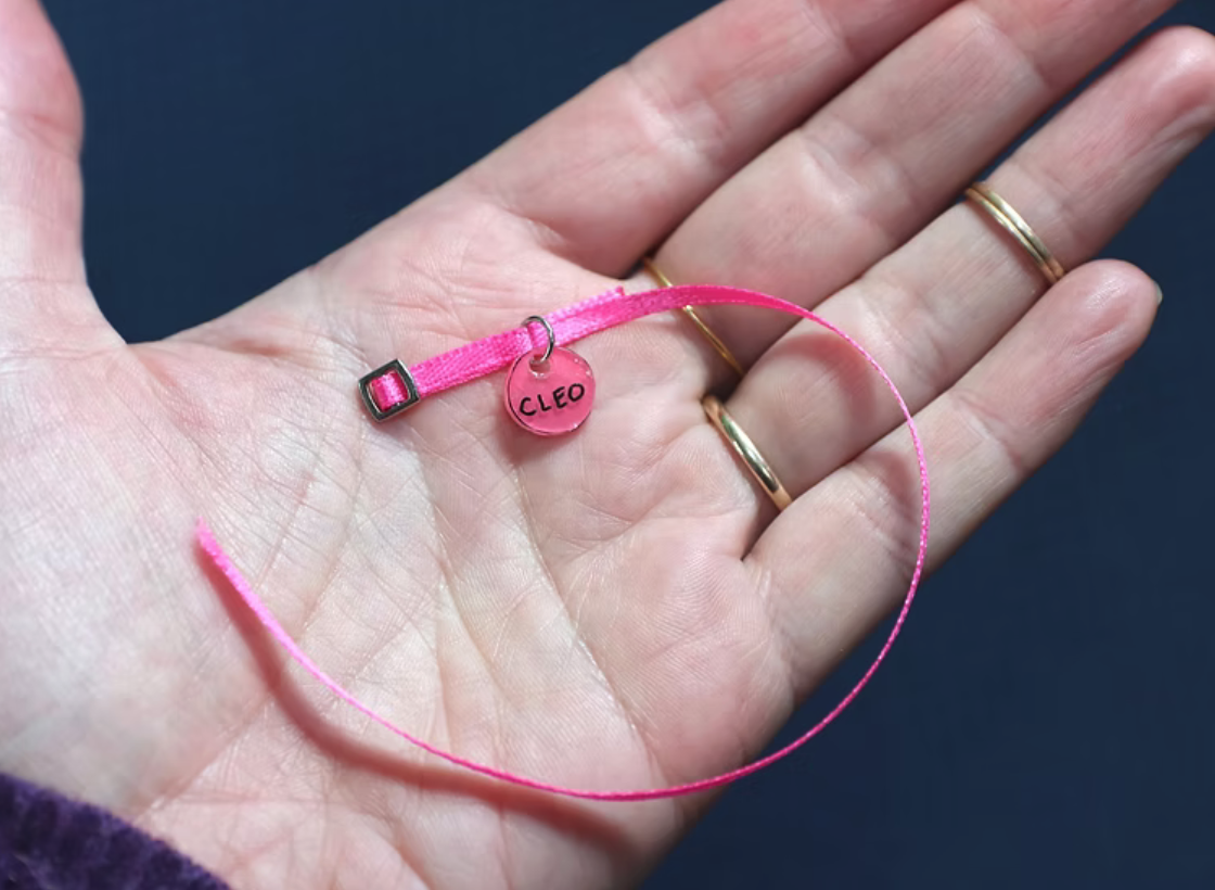 Screen Shot 2026-01-04 at 3.56.46 PM.png