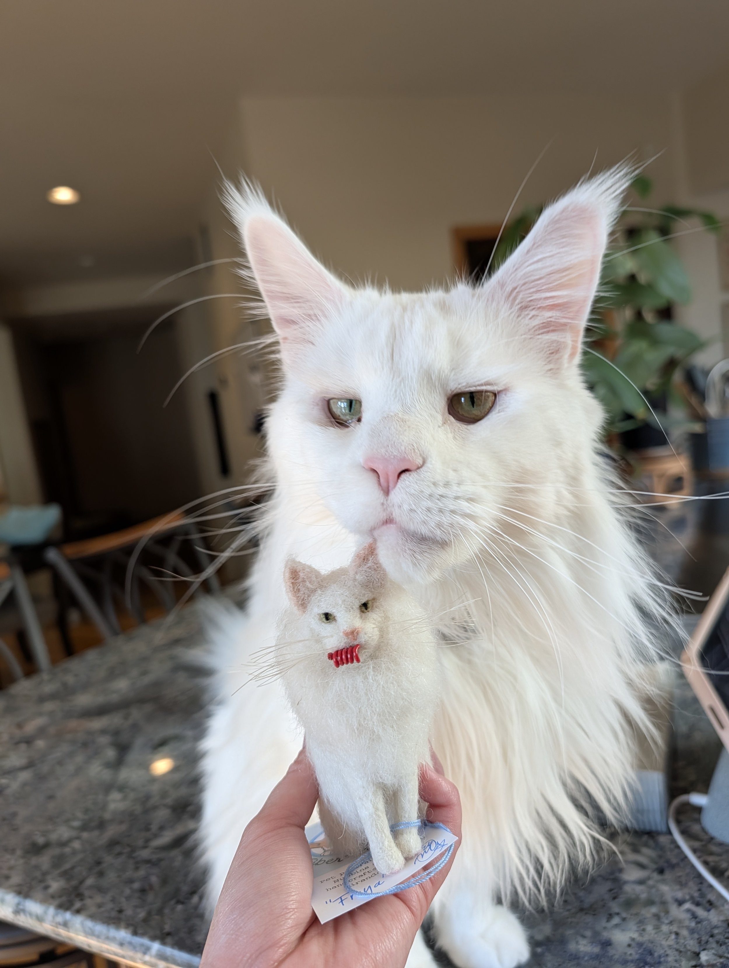 Curious kitties get Fiber Friends too - just be sure and display them well out of kitty's reach!