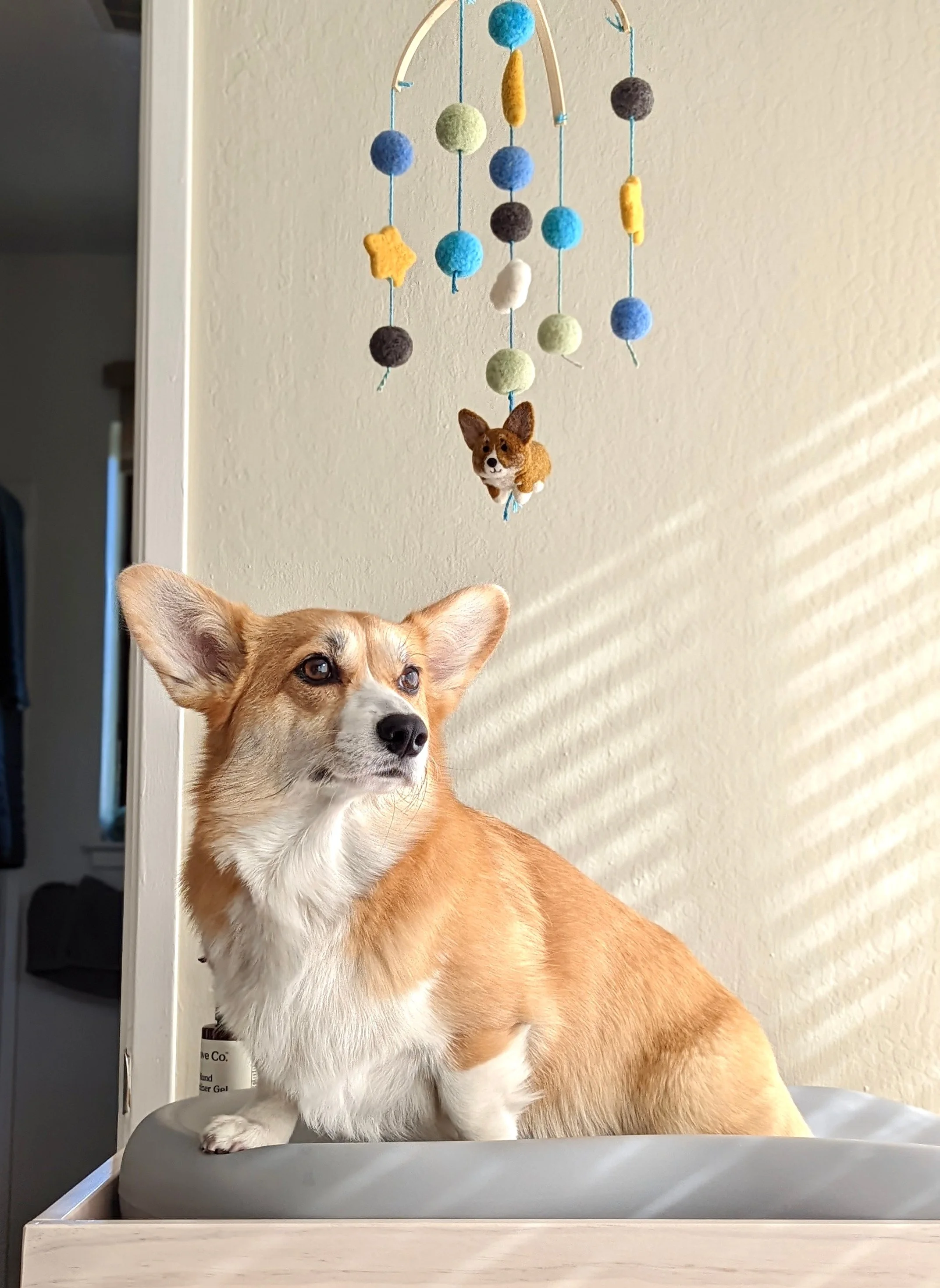 A tan and white dog, possibly a corgi, sitting on a raised surface with a felted dog figure hanging from a mobile above it. The mobile has colorful felt balls and shapes, including stars and a white cloud, hanging from a wooden frame. Sunlight create