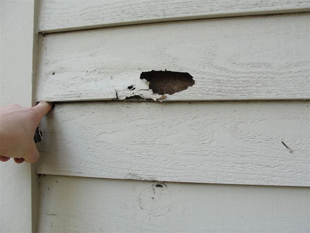 Person pointing at damage to beige horizontal siding on a building, with a large hole in the siding