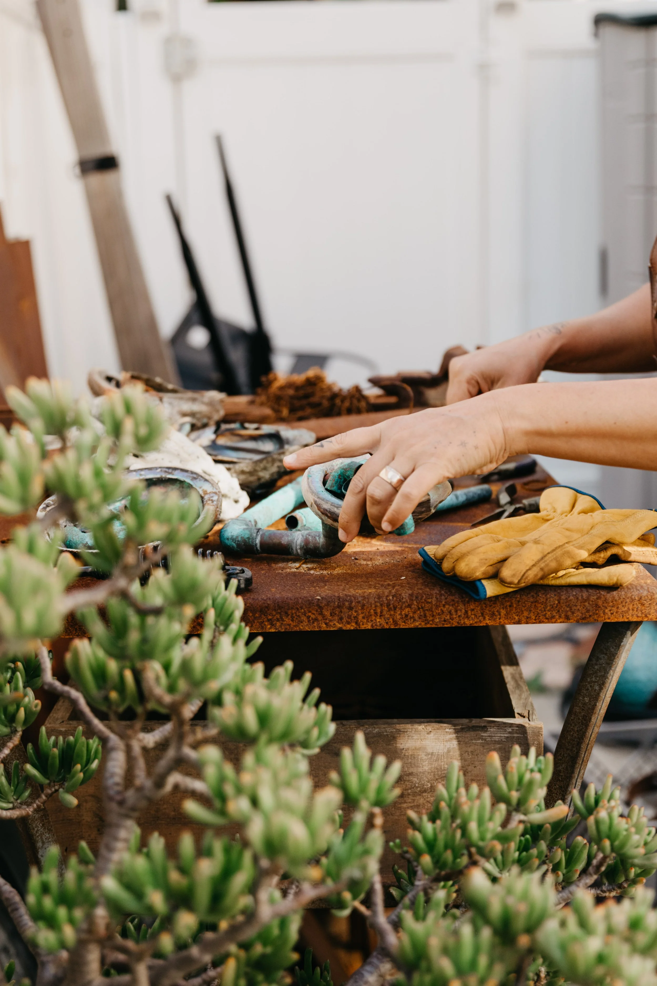 Close-up of a person working on an old wooden table with tools and gloves, surrounded by green succulent plants in the foreground.