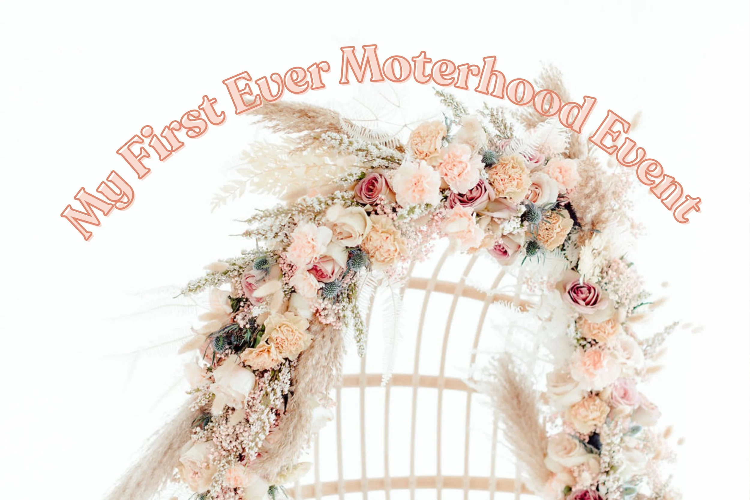 A Motherhood Event in Springfield, Missouri