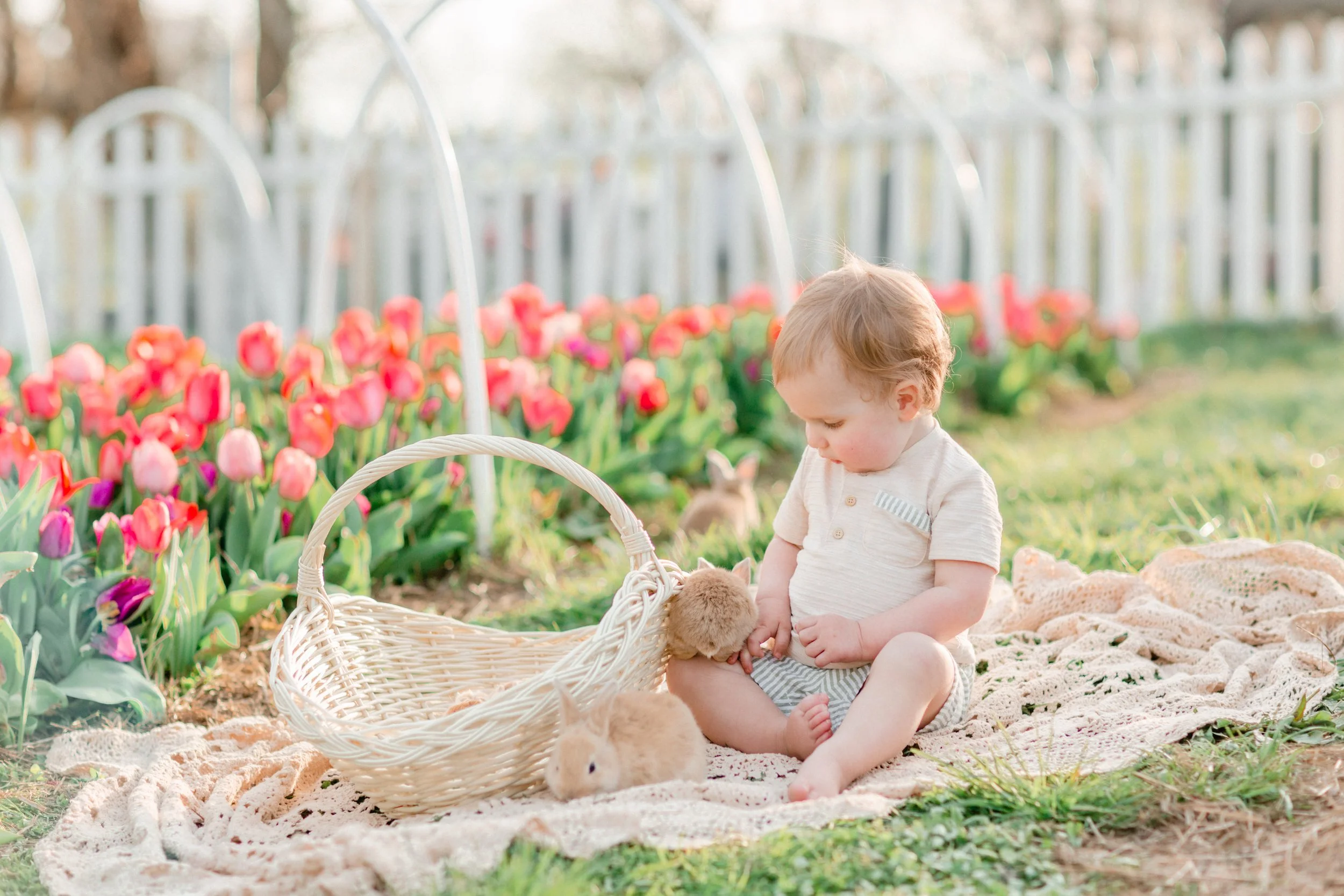 How to Create Soft, Natural Tulip &amp; Bunny Photos (Prop Styling + Light Tips)