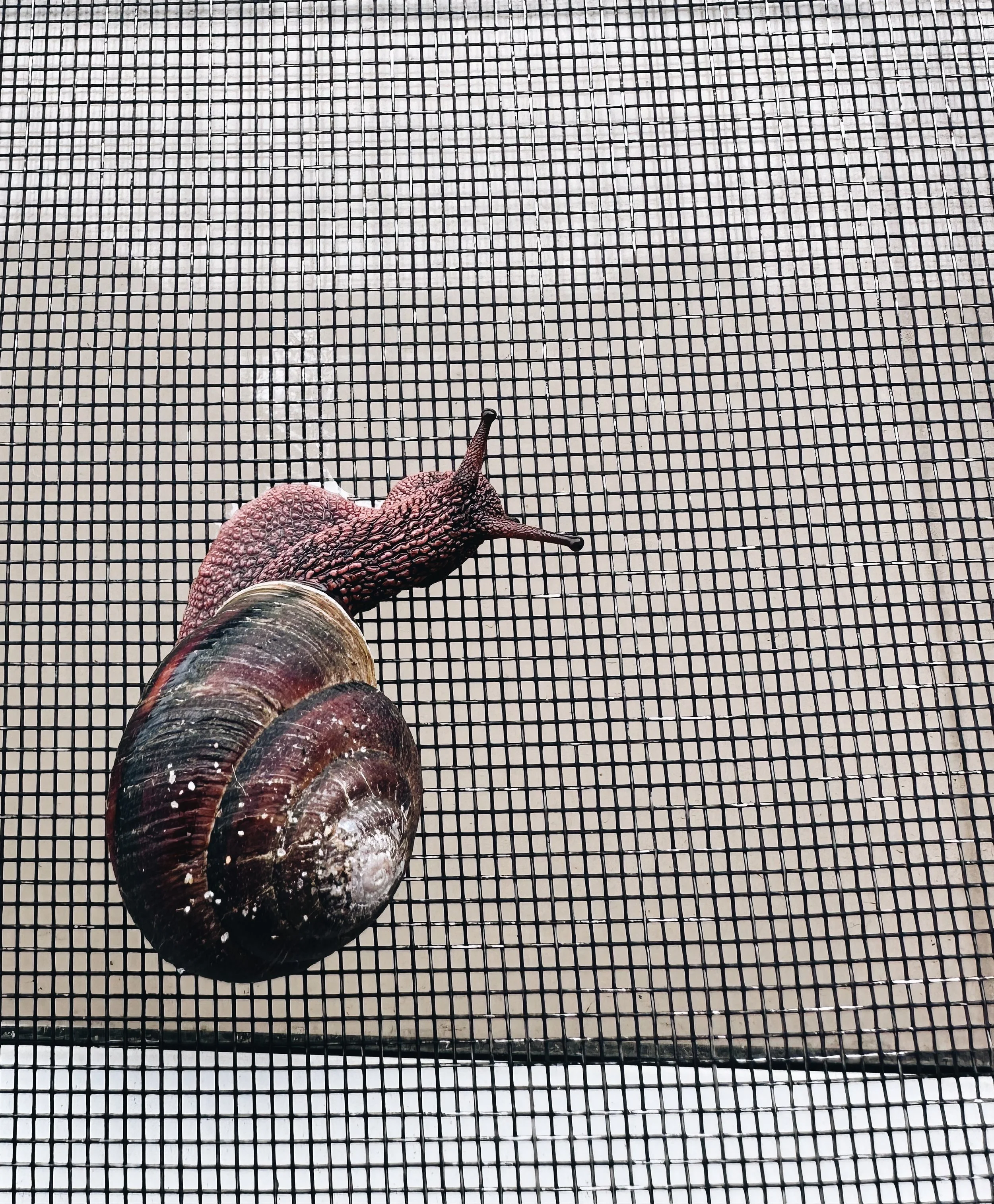IMG_6451_VSCO.JPG