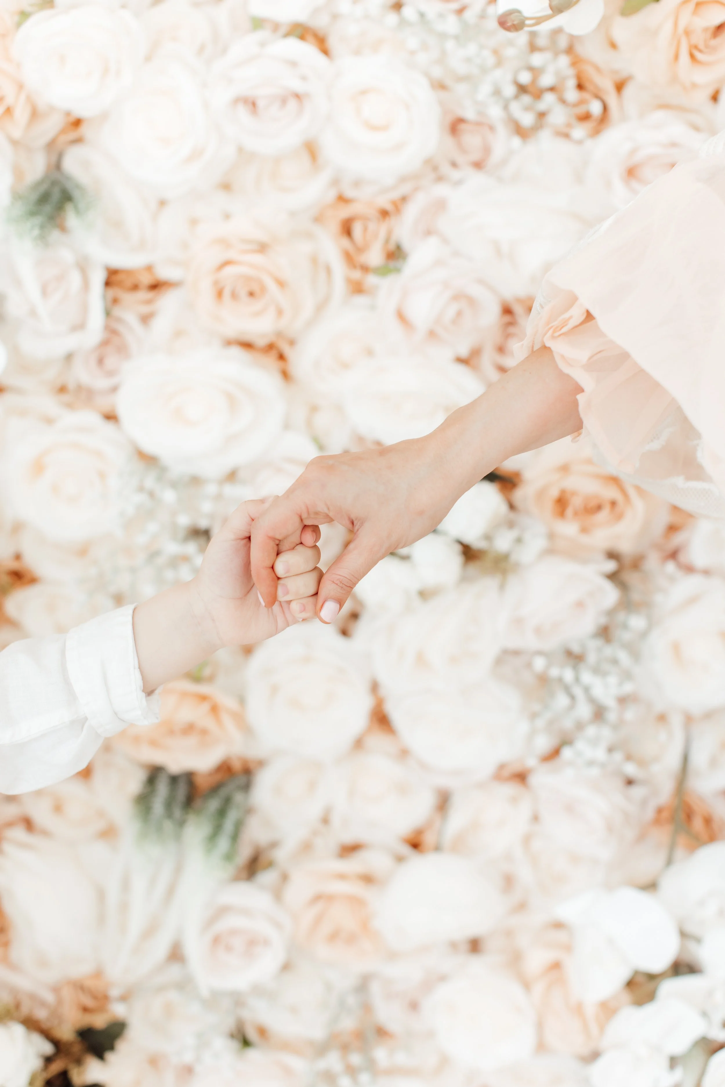 A small child and an adult holding hands in front of a wall decorated with light pink and white roses.