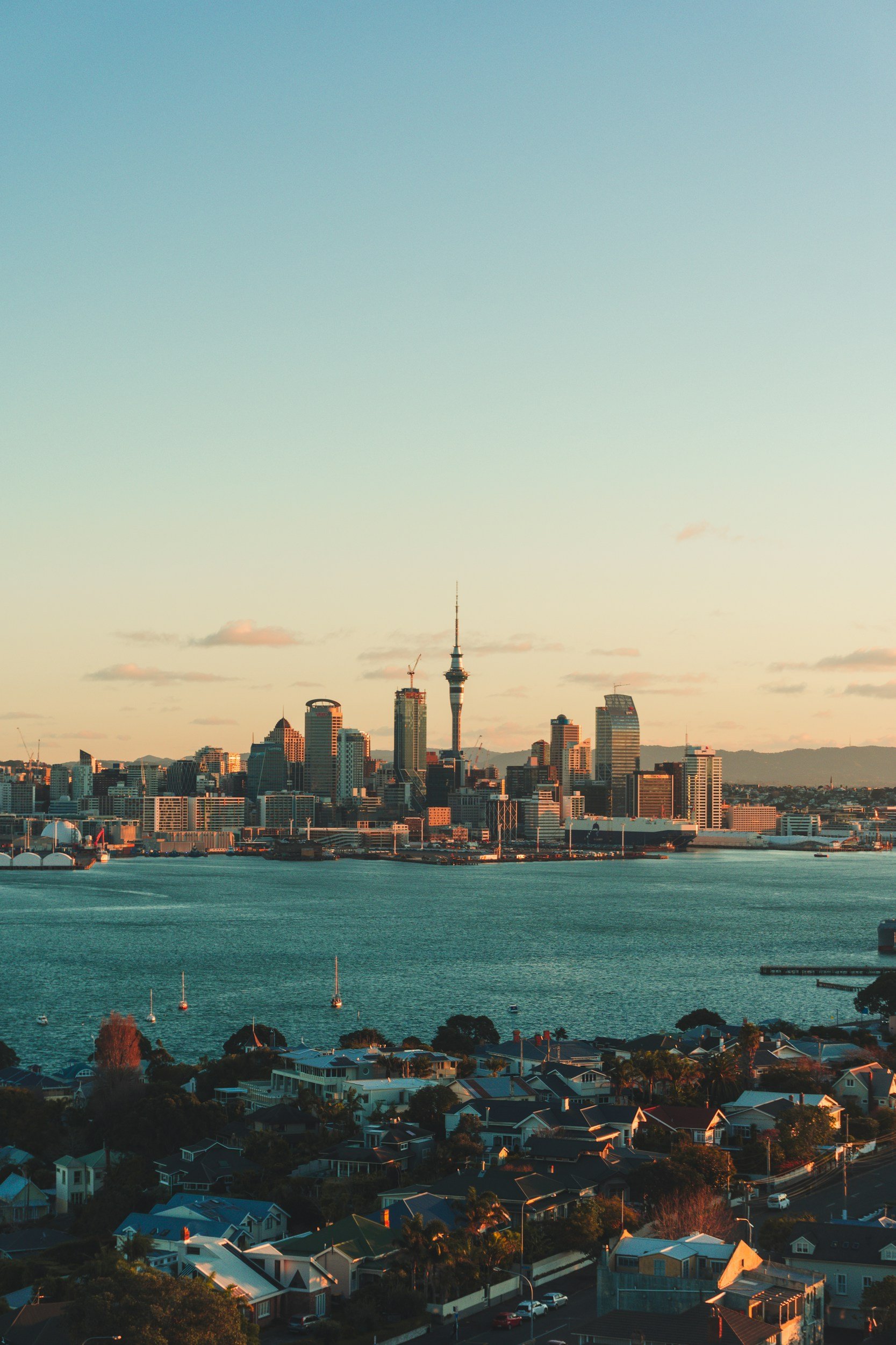 A city skyline with a tall tower and various high-rise buildings along the waterfront, with residential houses in the foreground and a calm body of water.
