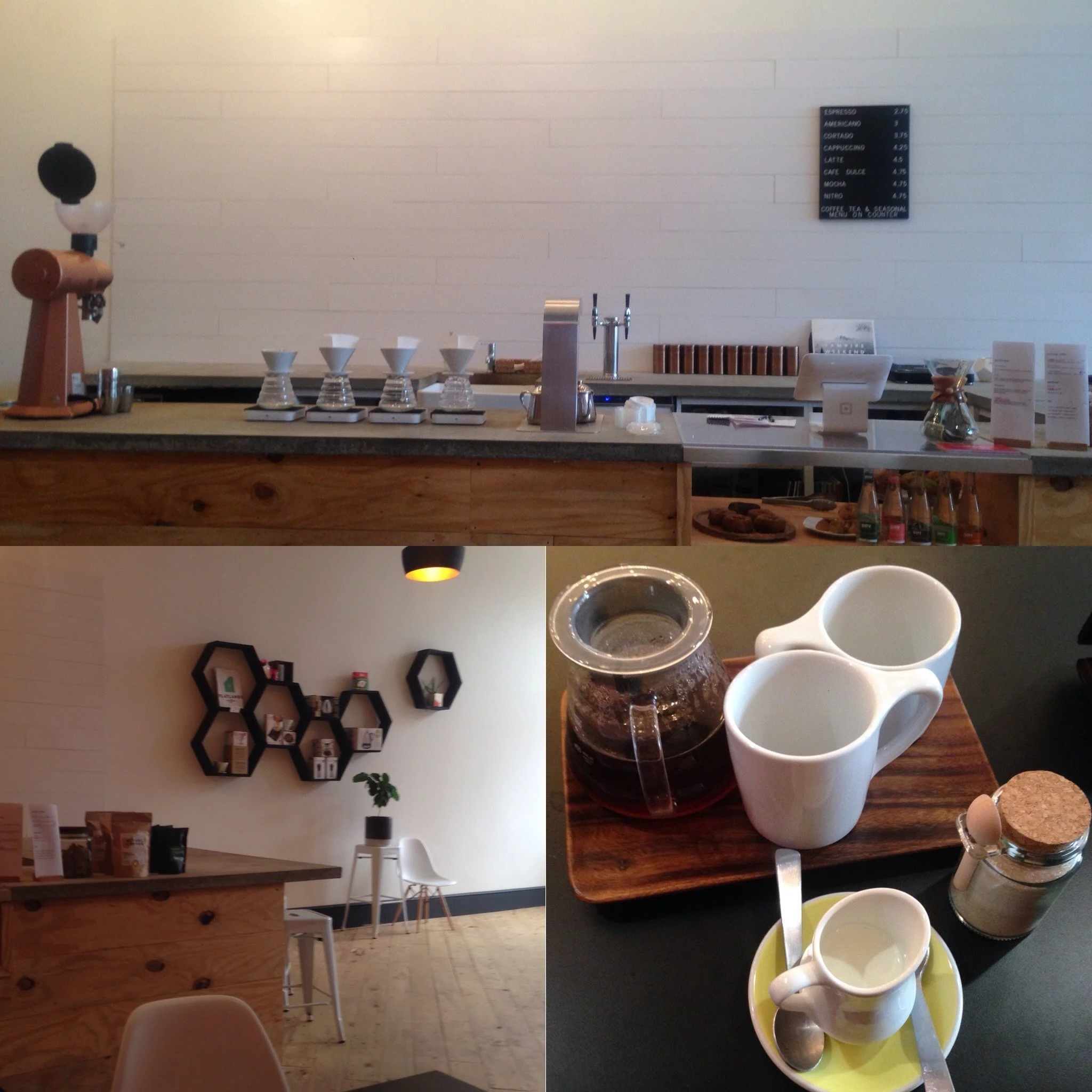 Steeped in Specialty: How One Coffee Shop Shaped My Career 