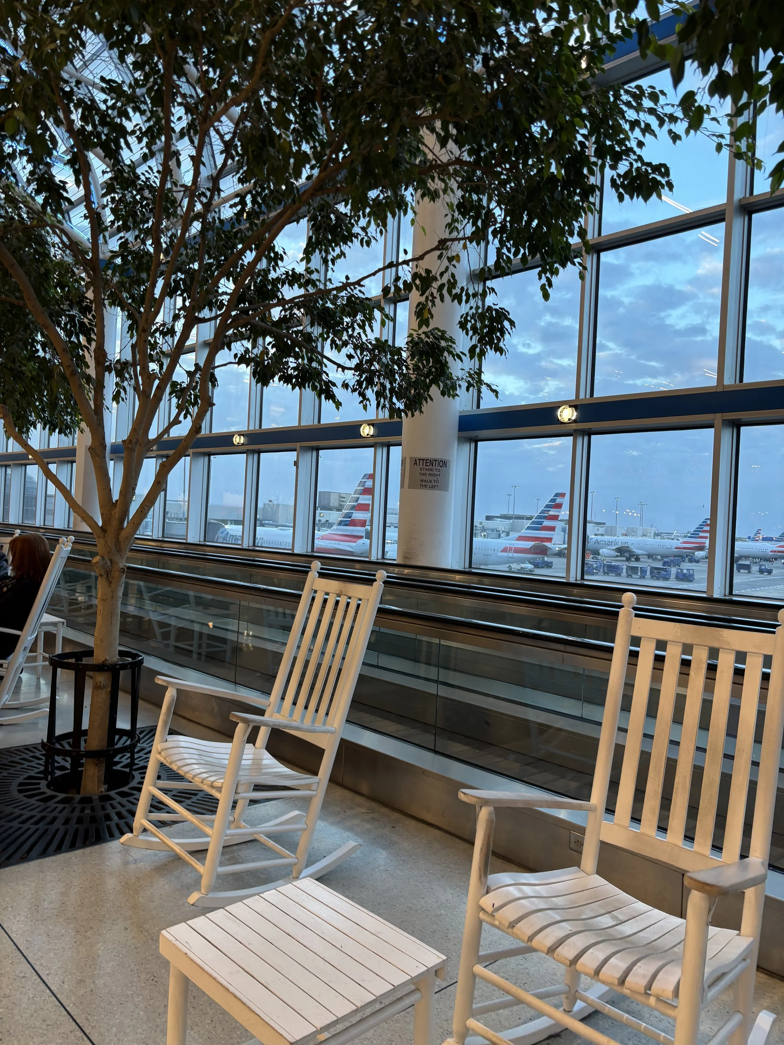 Traveling solo - Rocking Chairs and Ficus Trees