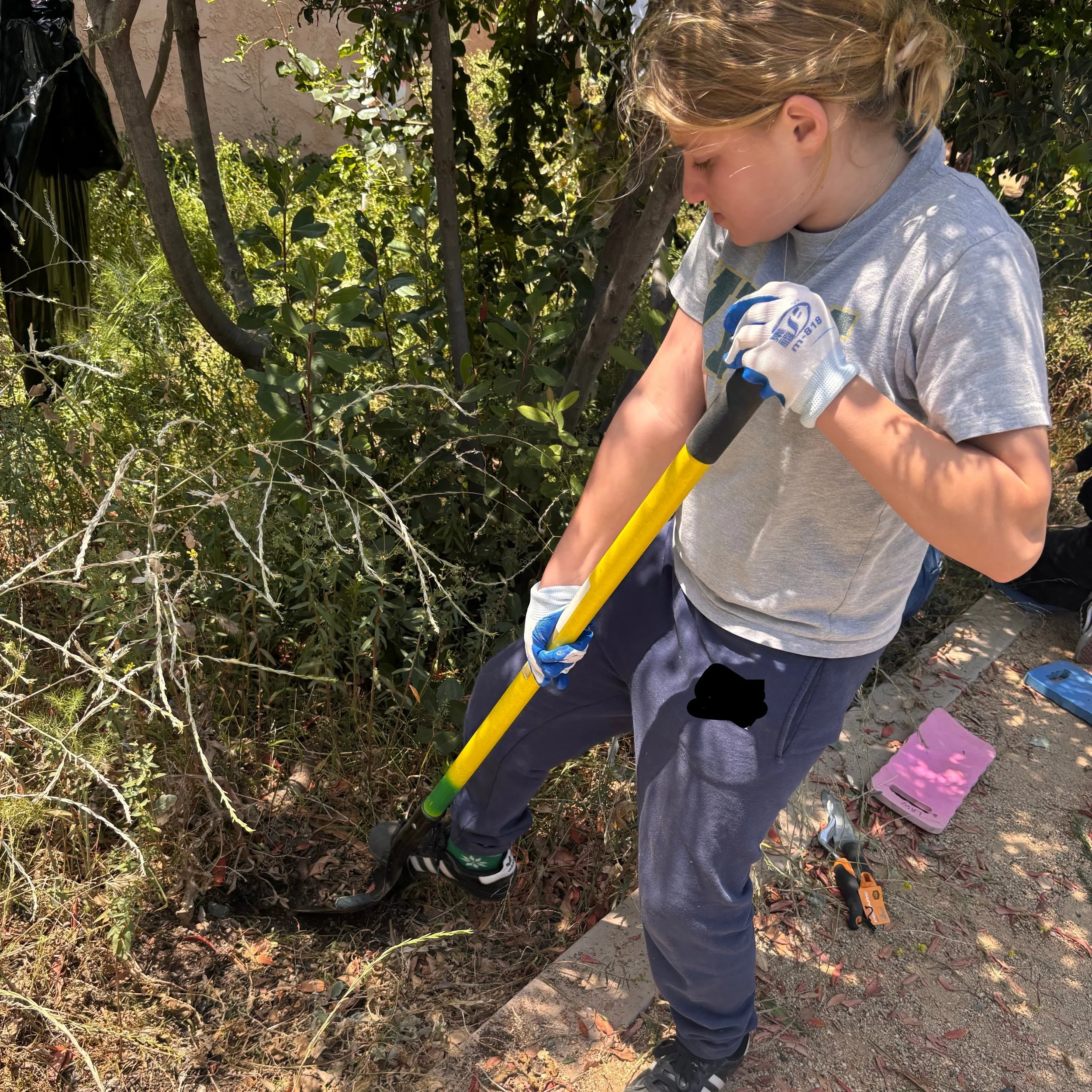 Shemesh Farms is an amazing place to volunteer! Shemesh Farms is a farm that has many things accessible to people with disabilities, like their program Farm Fellows, which helps people with disabilities learn life and job skills. Their core values ar