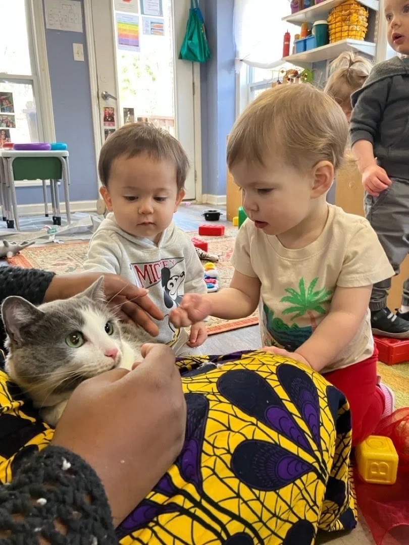 Toddlers being introduced to a cat to pet