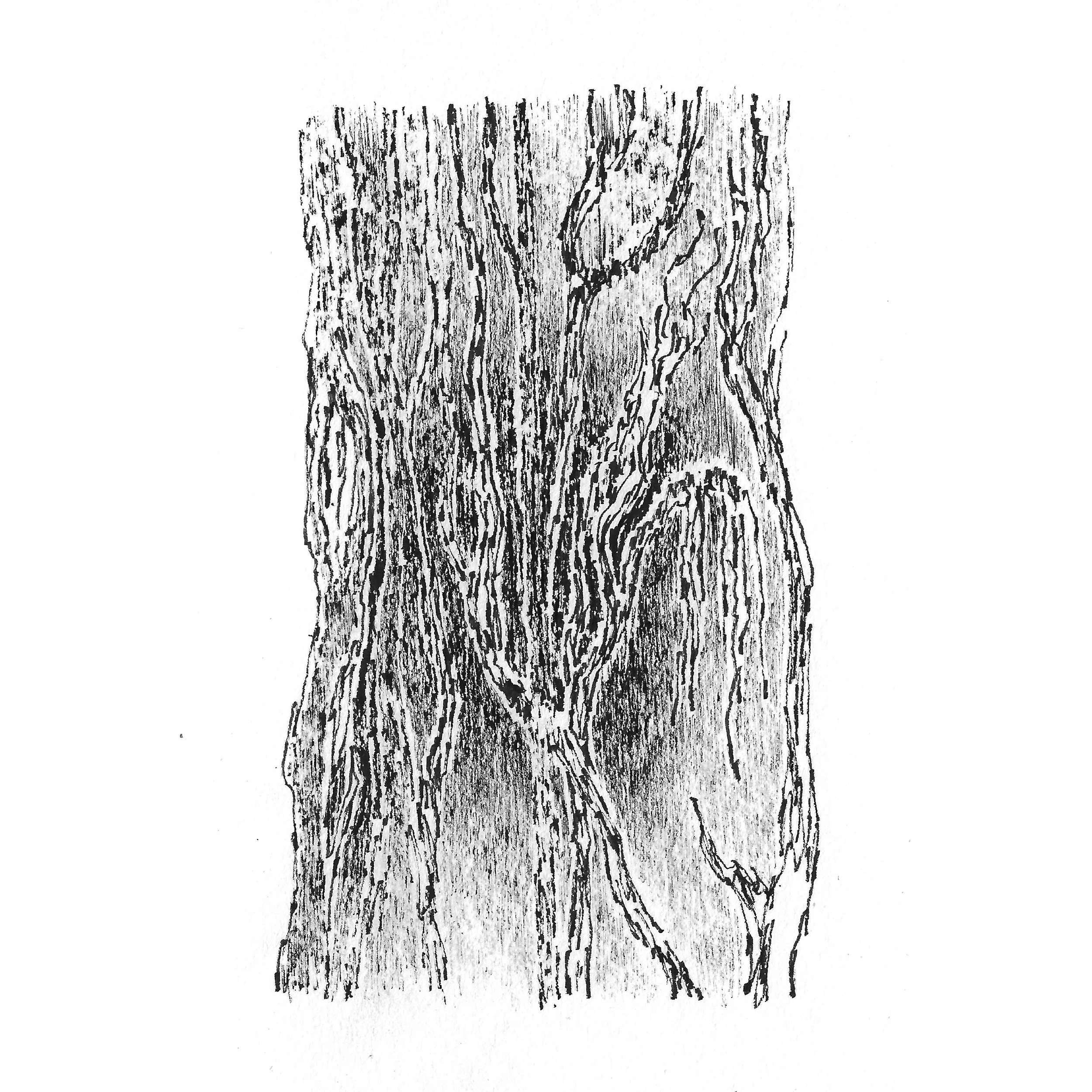 SG.15

Untitled, 2021
Ink pen on paper
4 × 6 in (10.2 × 15.2 cm)