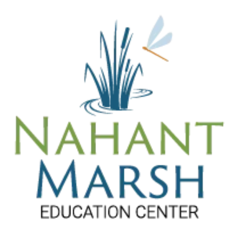 Logo with a water fountain and large text reading 'Naha Nti Marsh'.