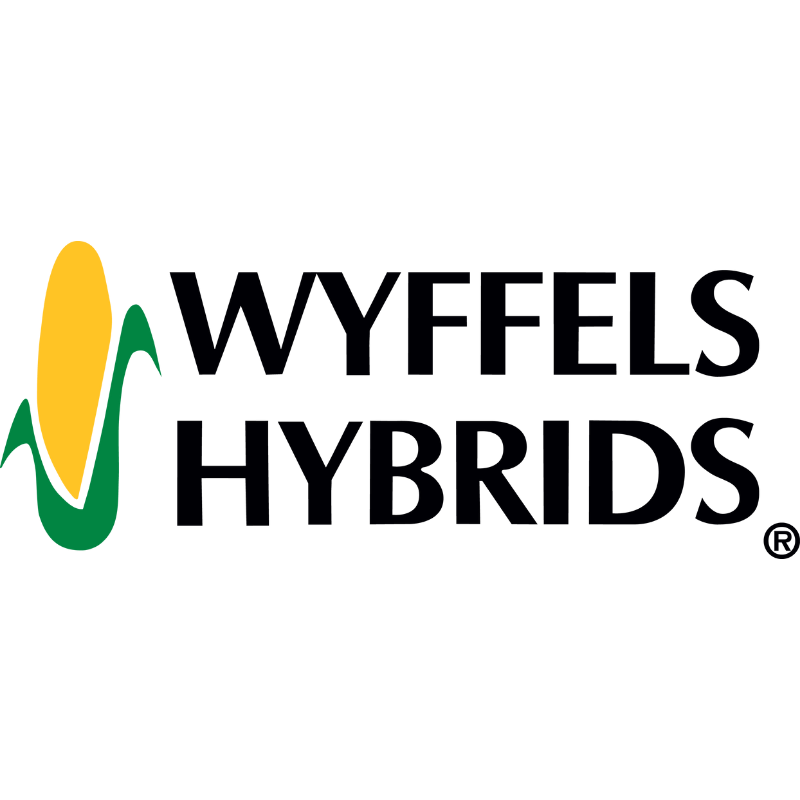 Logo of Wye Fels Hybrids featuring a yellow corn ear with green leaves.