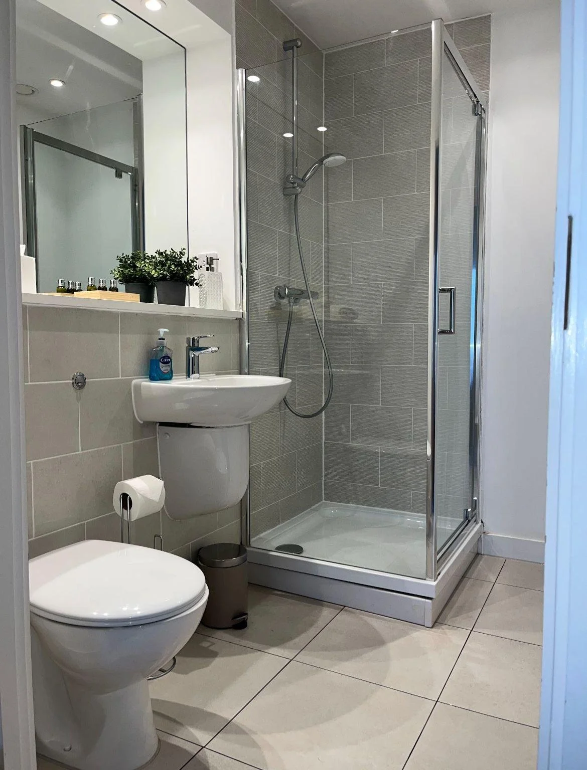A compact bathroom featuring a white toilet with a toilet paper roll, a small white sink with a hand soap dispenser, a rectangular mirror above the sink, and a glass-enclosed shower with gray tiles. There are small plants and bottles on a ledge near 