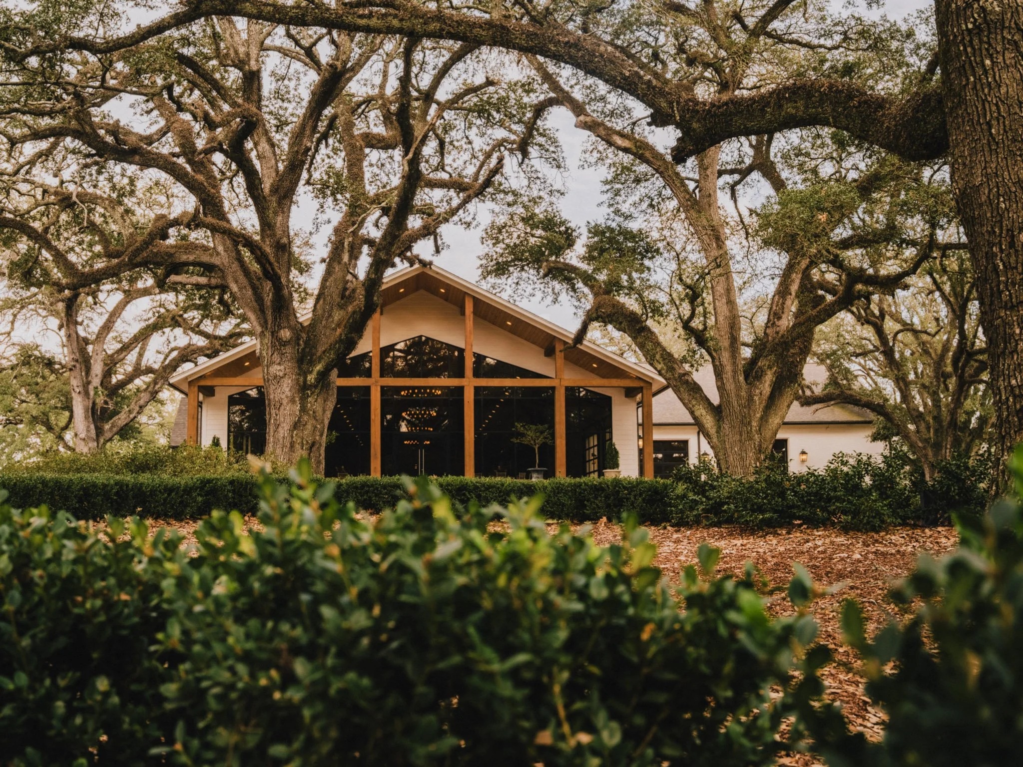 A house with large glass windows and a pitched roof, surrounded by tall oak trees with sprawling branches, framed by a hedge in the foreground.