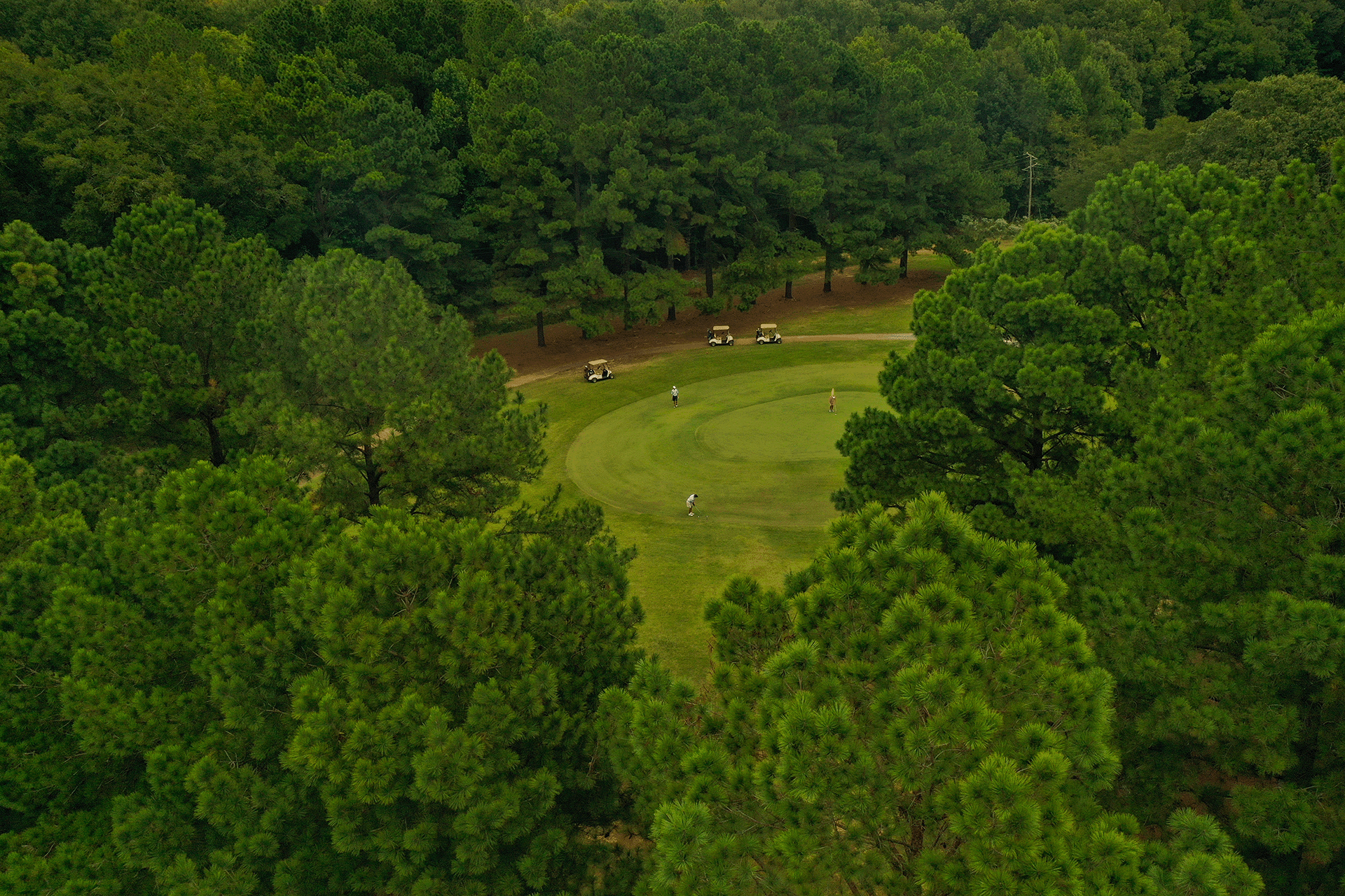 Aerial view of a golf course surrounded by lush green trees with four golfers on the green and three golf carts parked nearby.