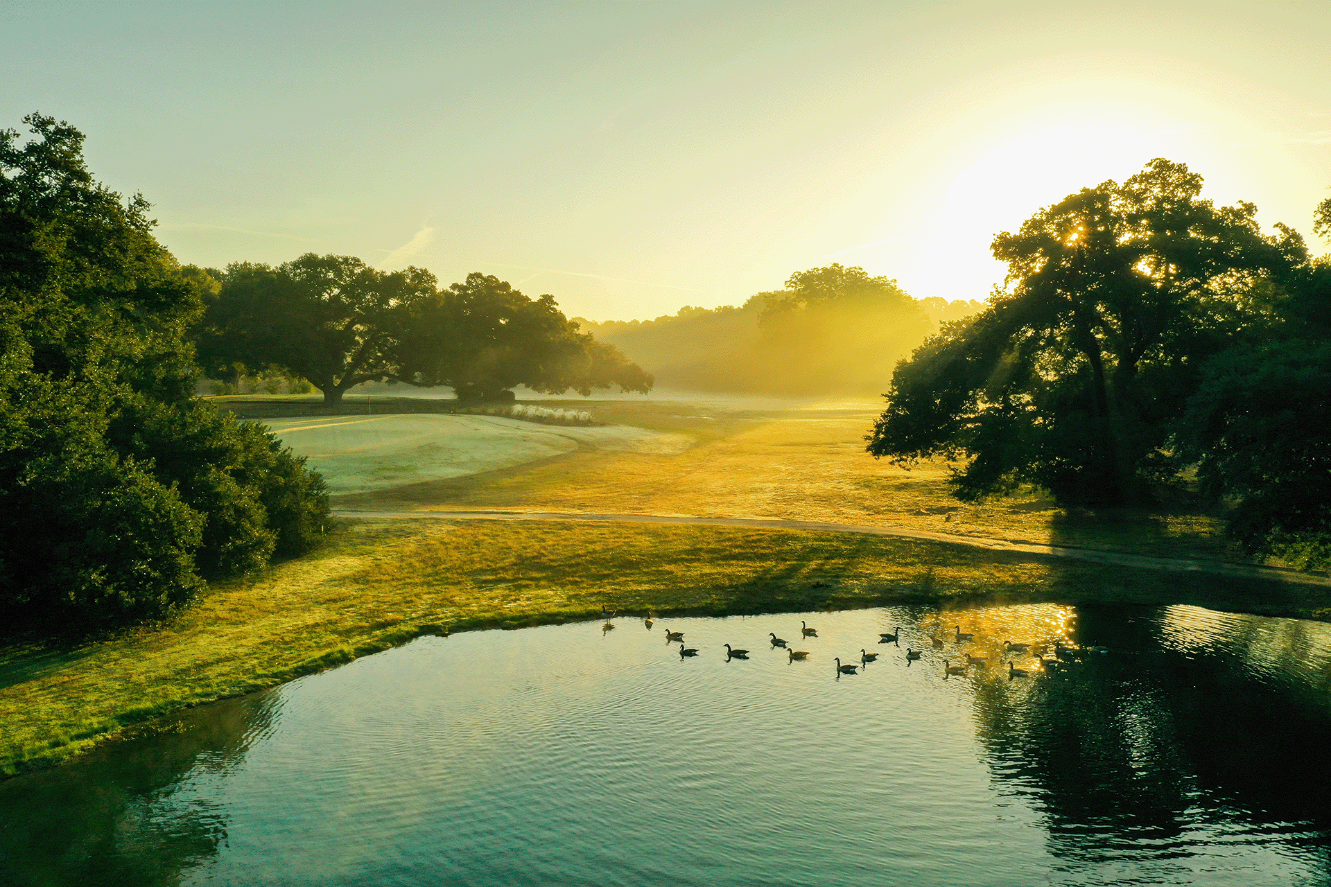 Golden sunrise over a peaceful Live Oaks landscape with a pond, ducks on the water, and large oak trees casting long shadows across dew-covered grass