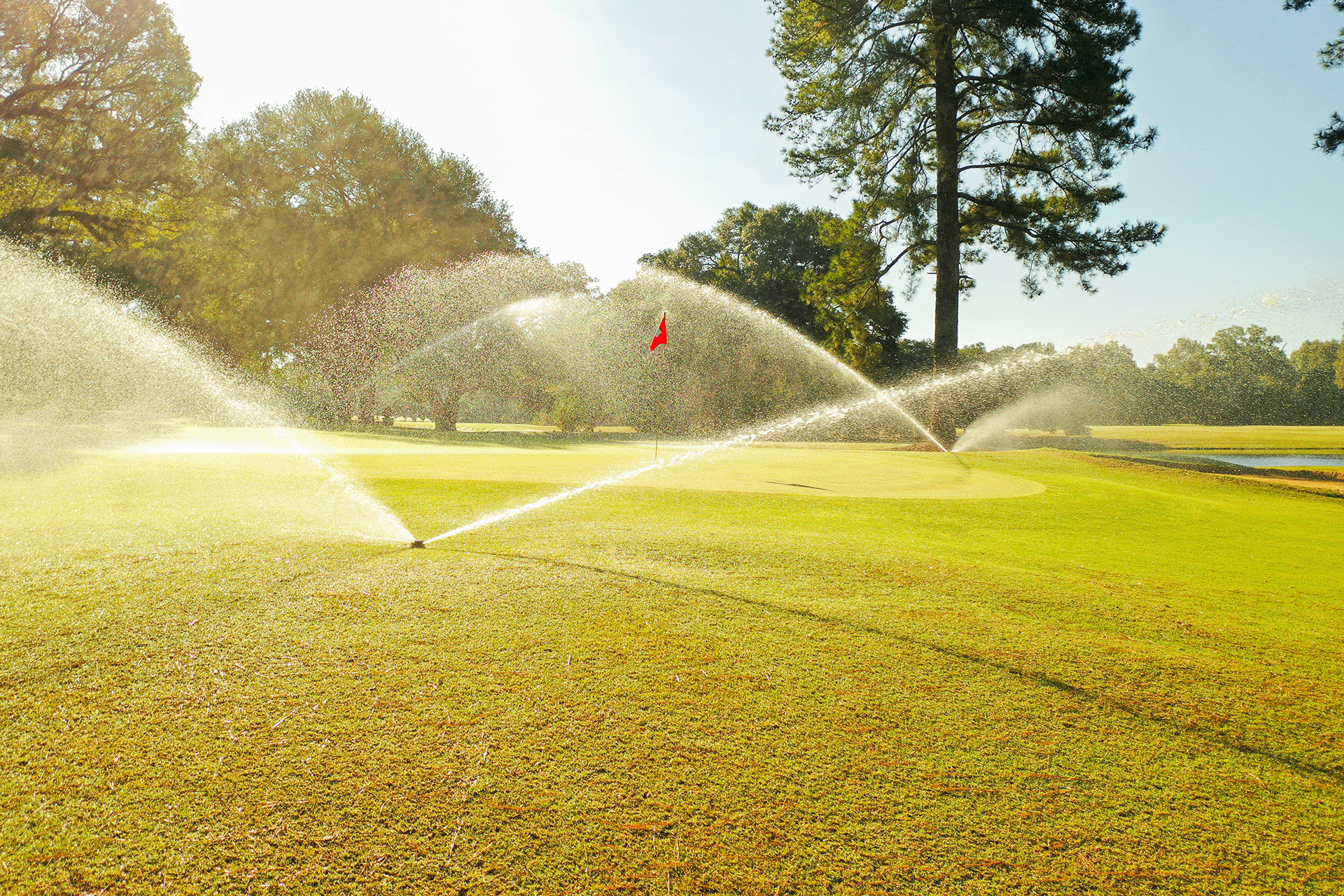 A golf course with sprinklers watering the green grass and a red flag on the hole, surrounded by trees under a clear blue sky.