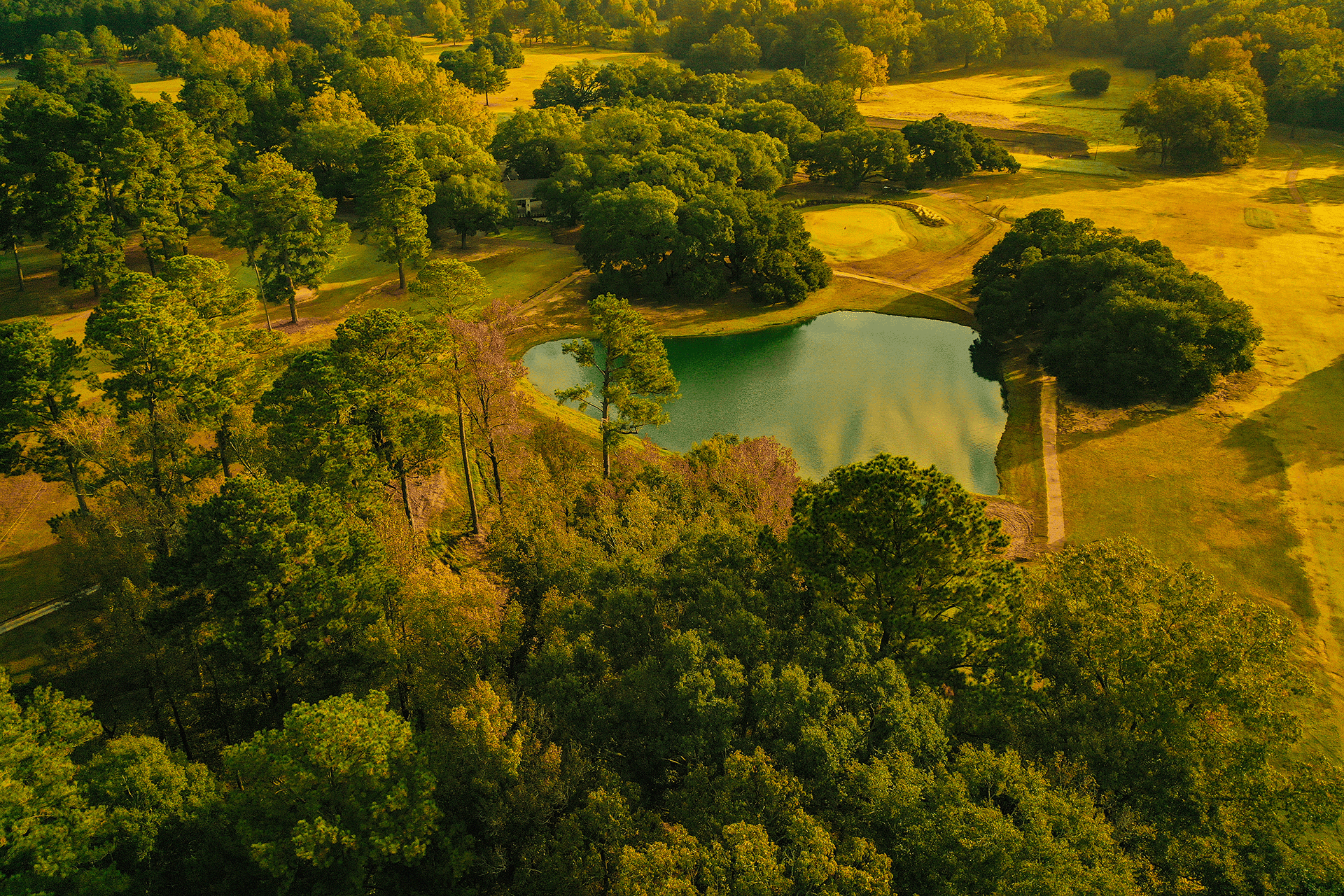 Aerial view of a golf course with a pond and surrounding green trees.