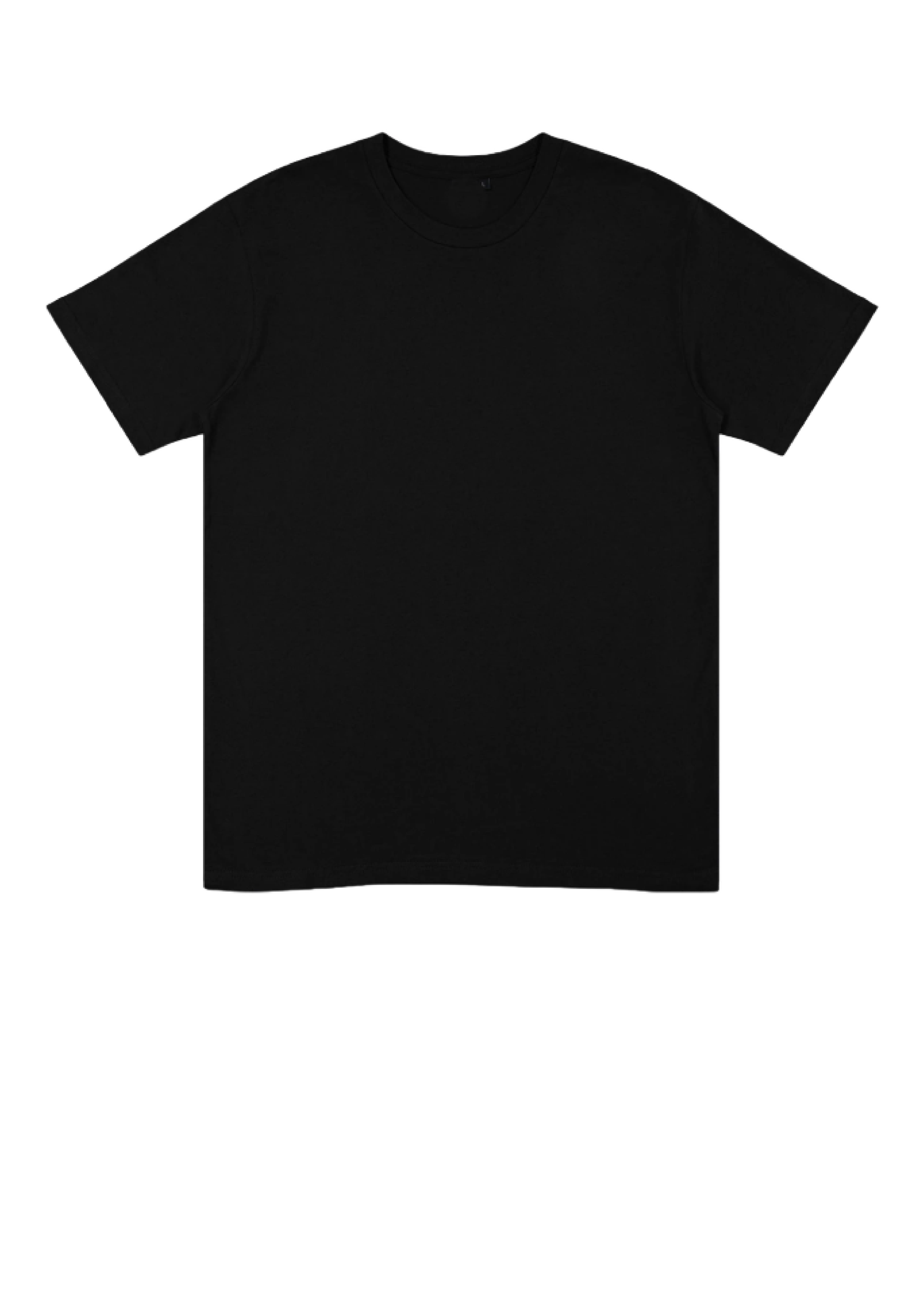 Classic Tee Shirt Plus Sizes