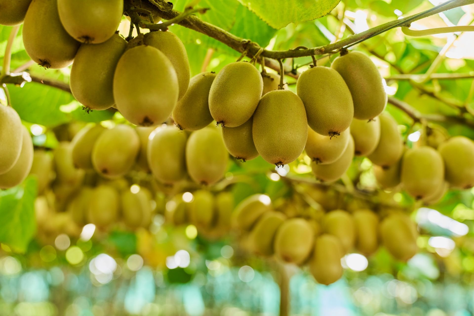 EastPack Site Tour 2026