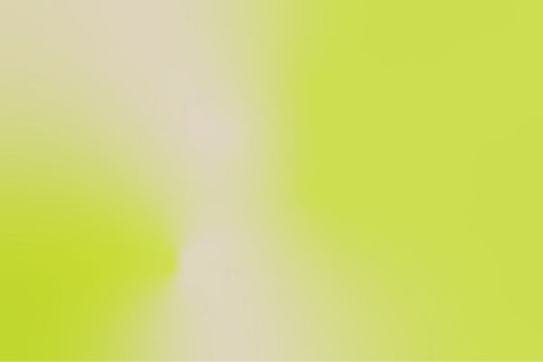 Submission on improving taxation of loans made by companies to shareholders