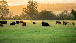 Agri Co-ops and Climate Change: Webinar now live