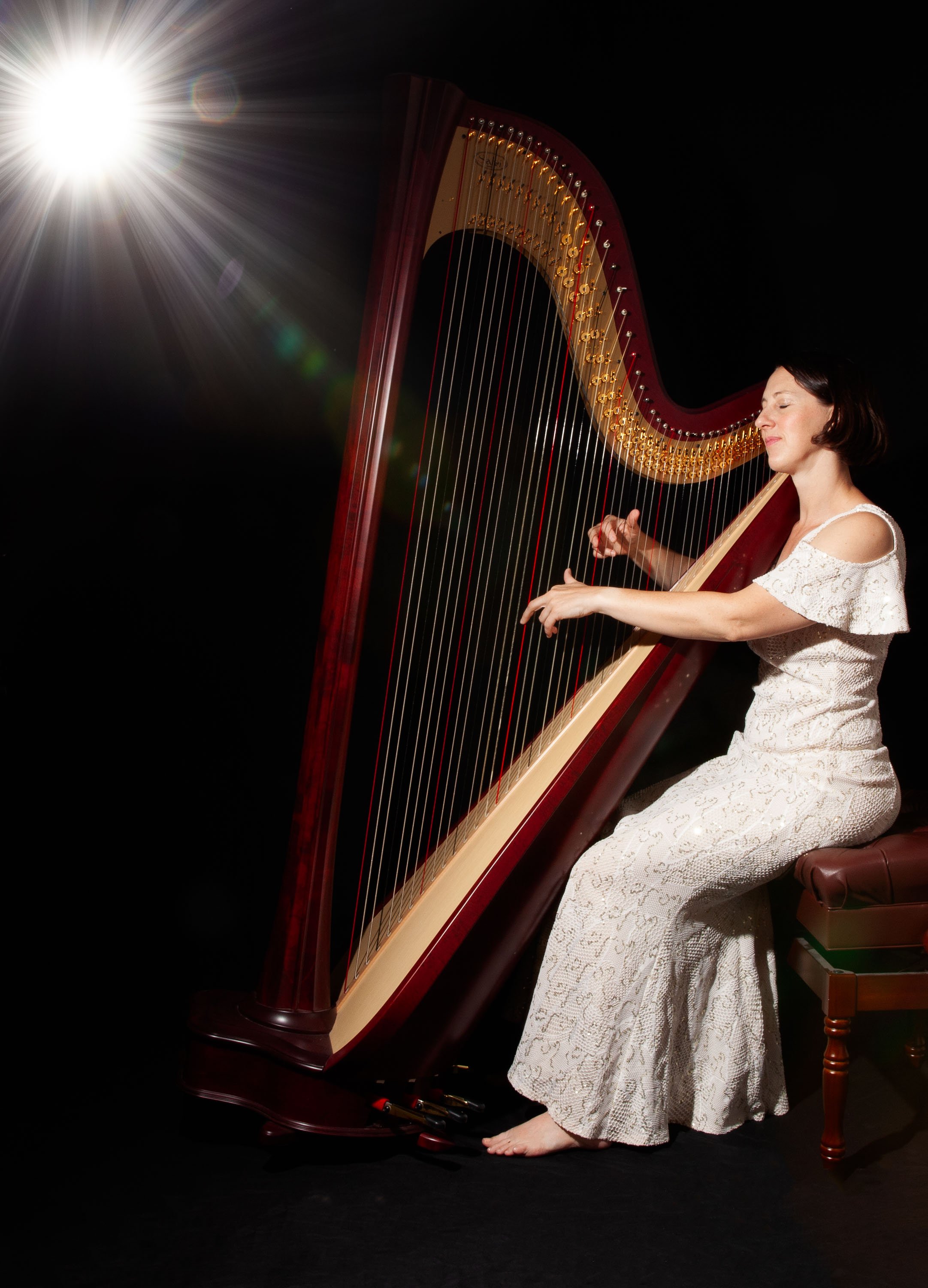 Divinely-Inspired-Harp-8353-Edit.jpg