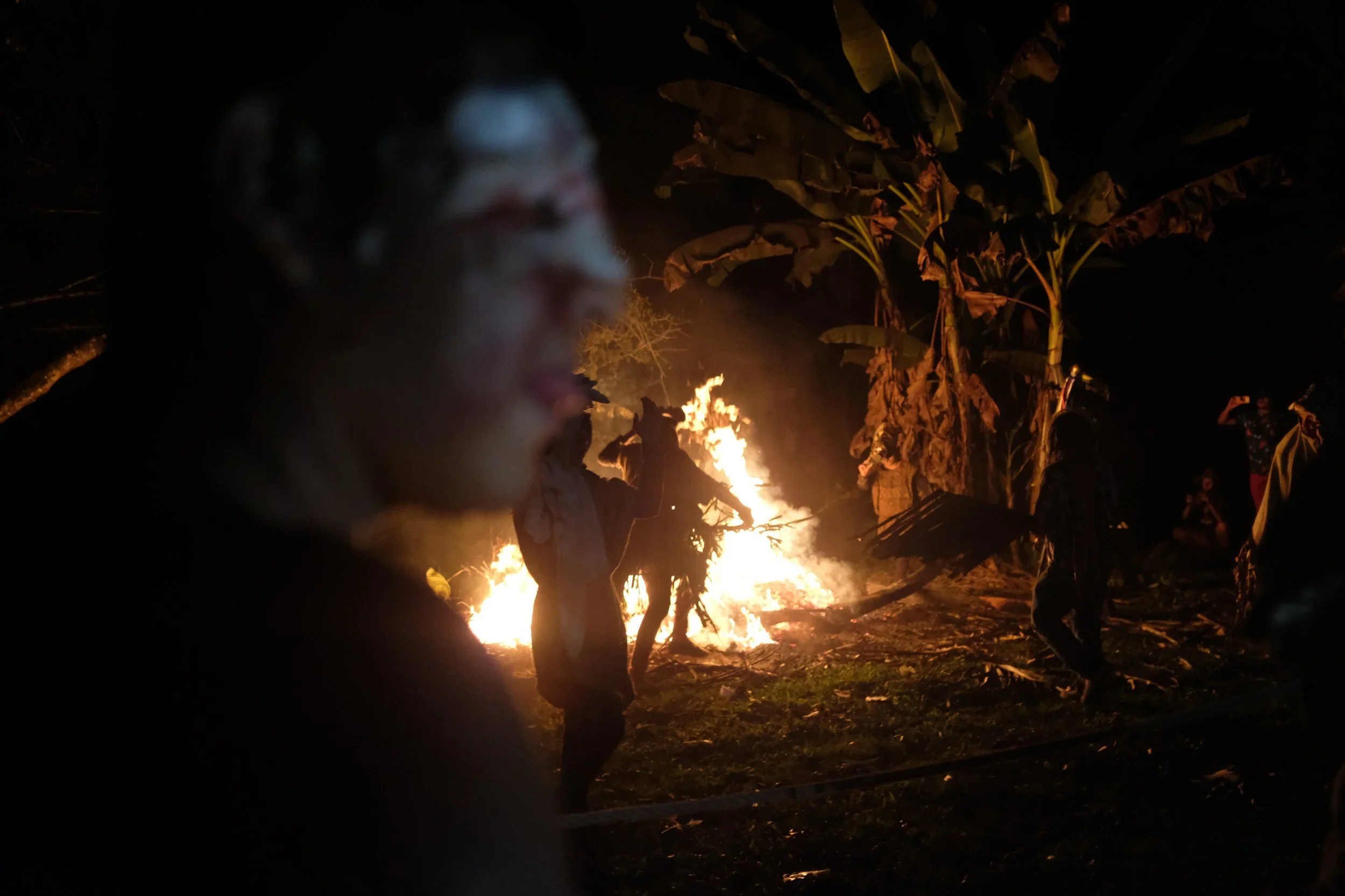 People gathered around a fire at night, with banana trees in the background.
