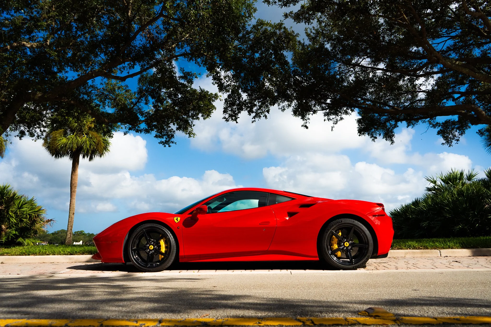 Red Ferrari sports car parked on a palm-lined street under a large tree with a blue sky and clouds overhead.