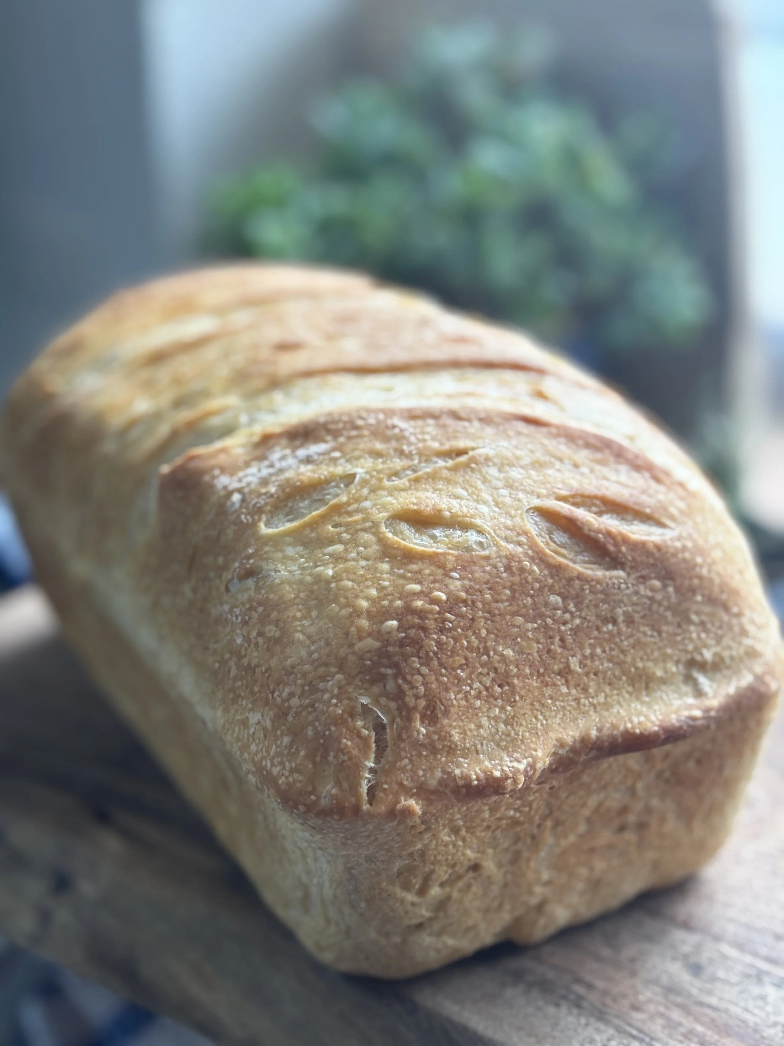 Organic Sourdough Sandwich Bread